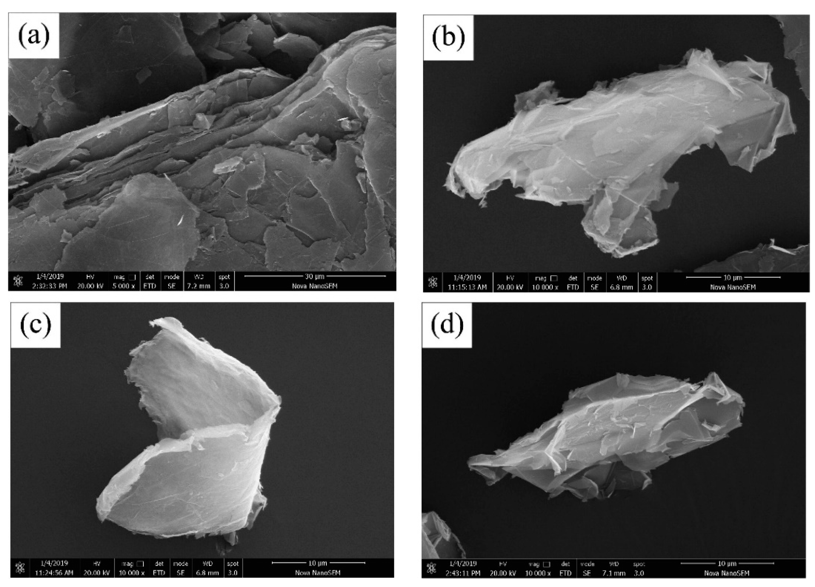 Molecules 26 01430 g007
