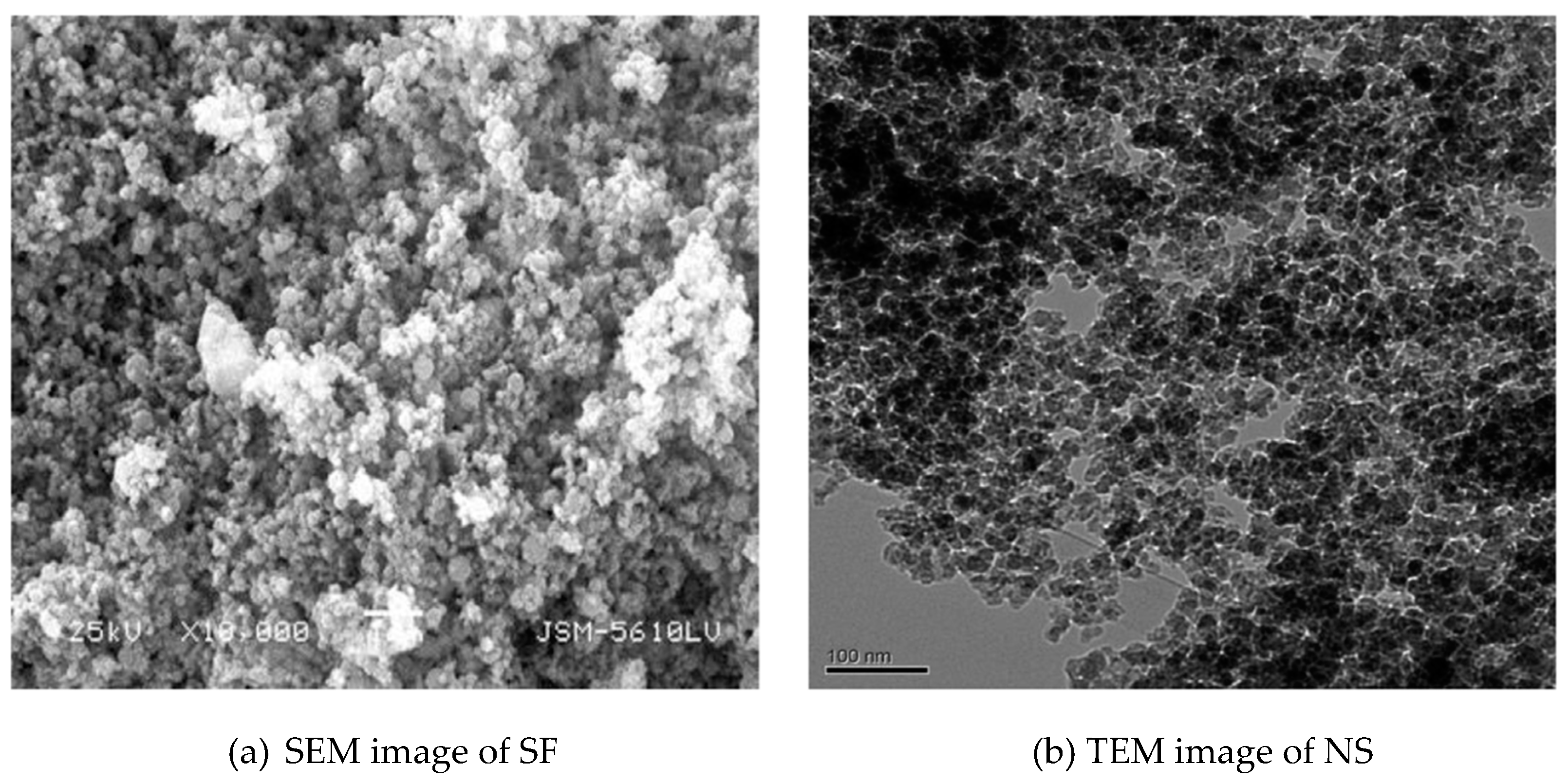 Molecules 26 01430 g008