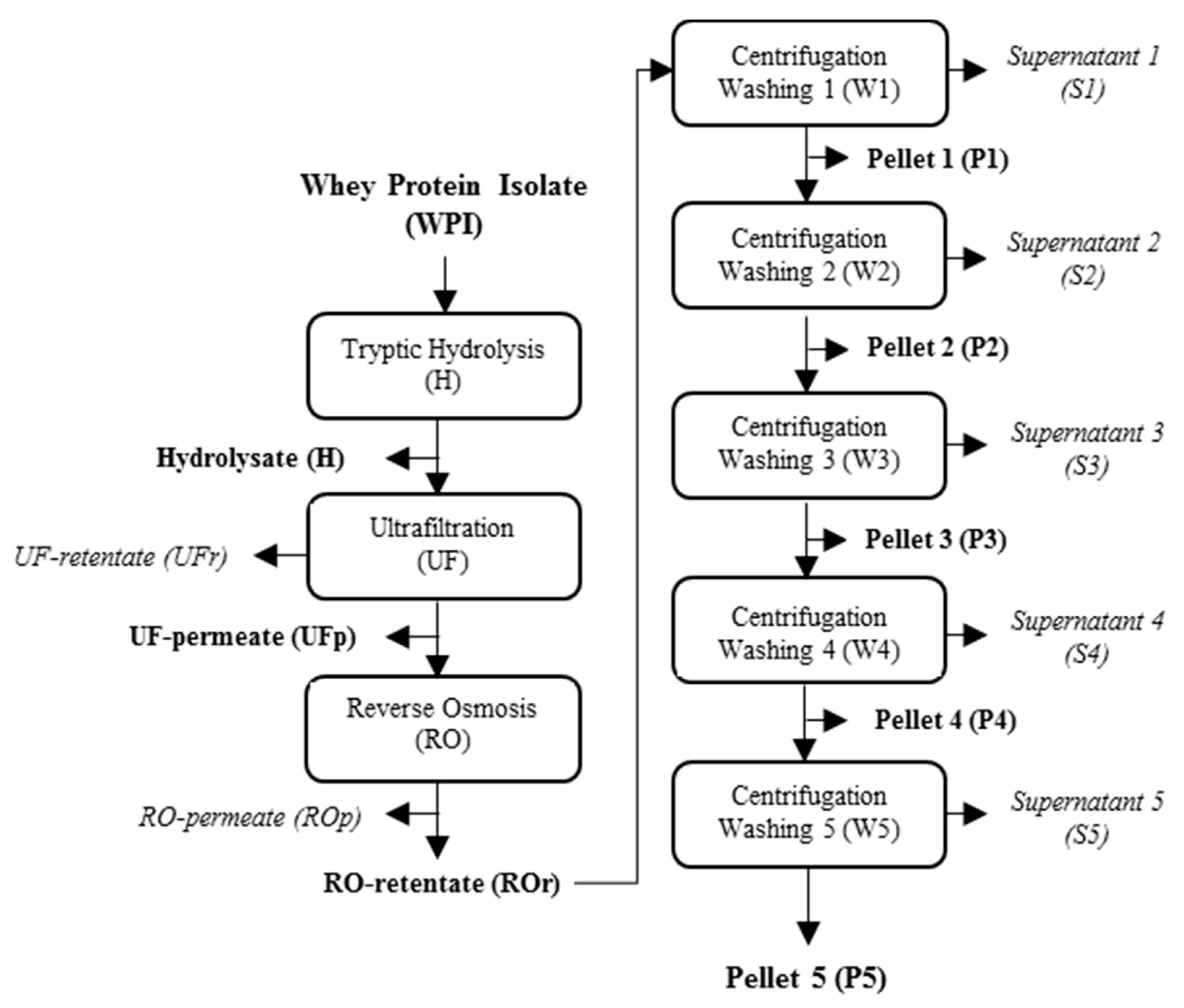Molecules 26 01432 g003