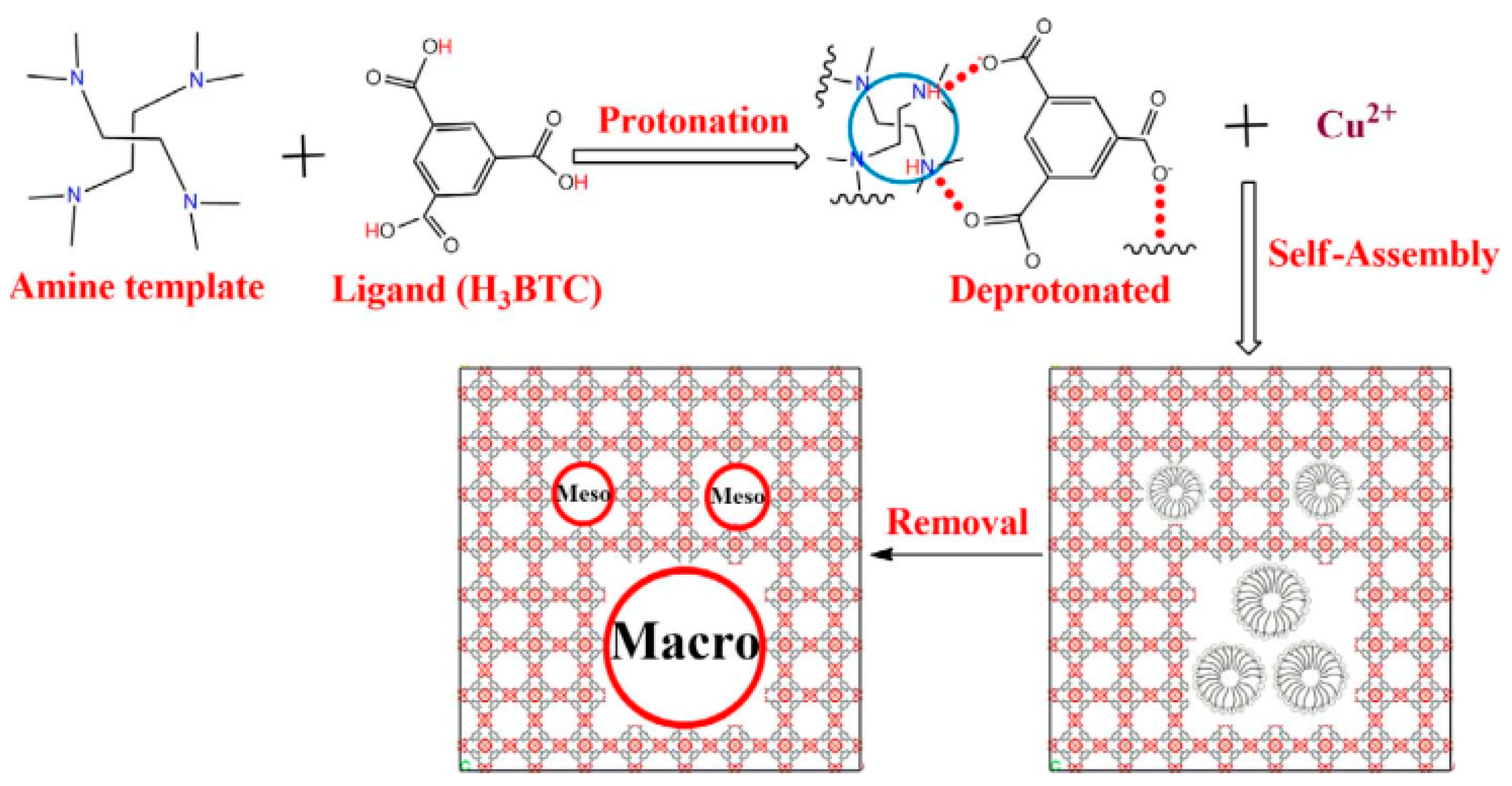 Molecules 26 01445 g001