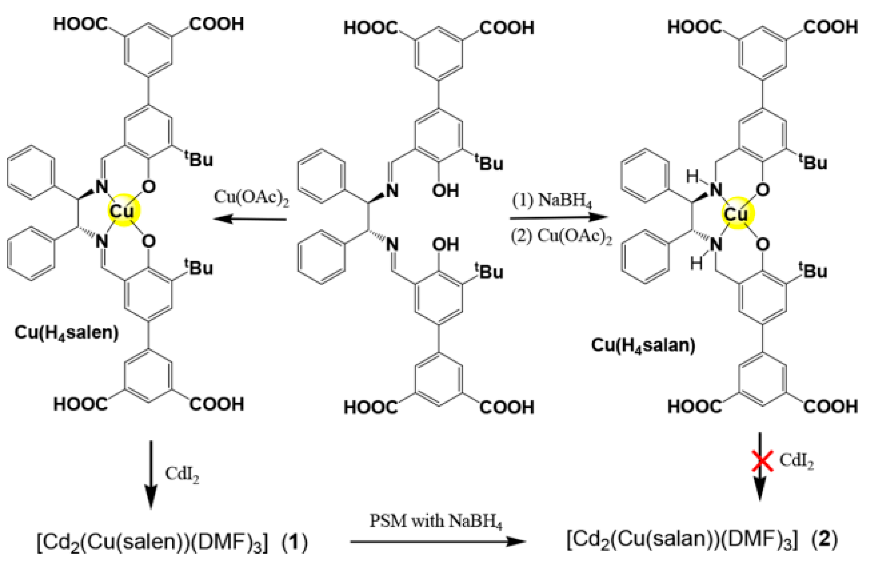 Molecules 26 01445 sch003