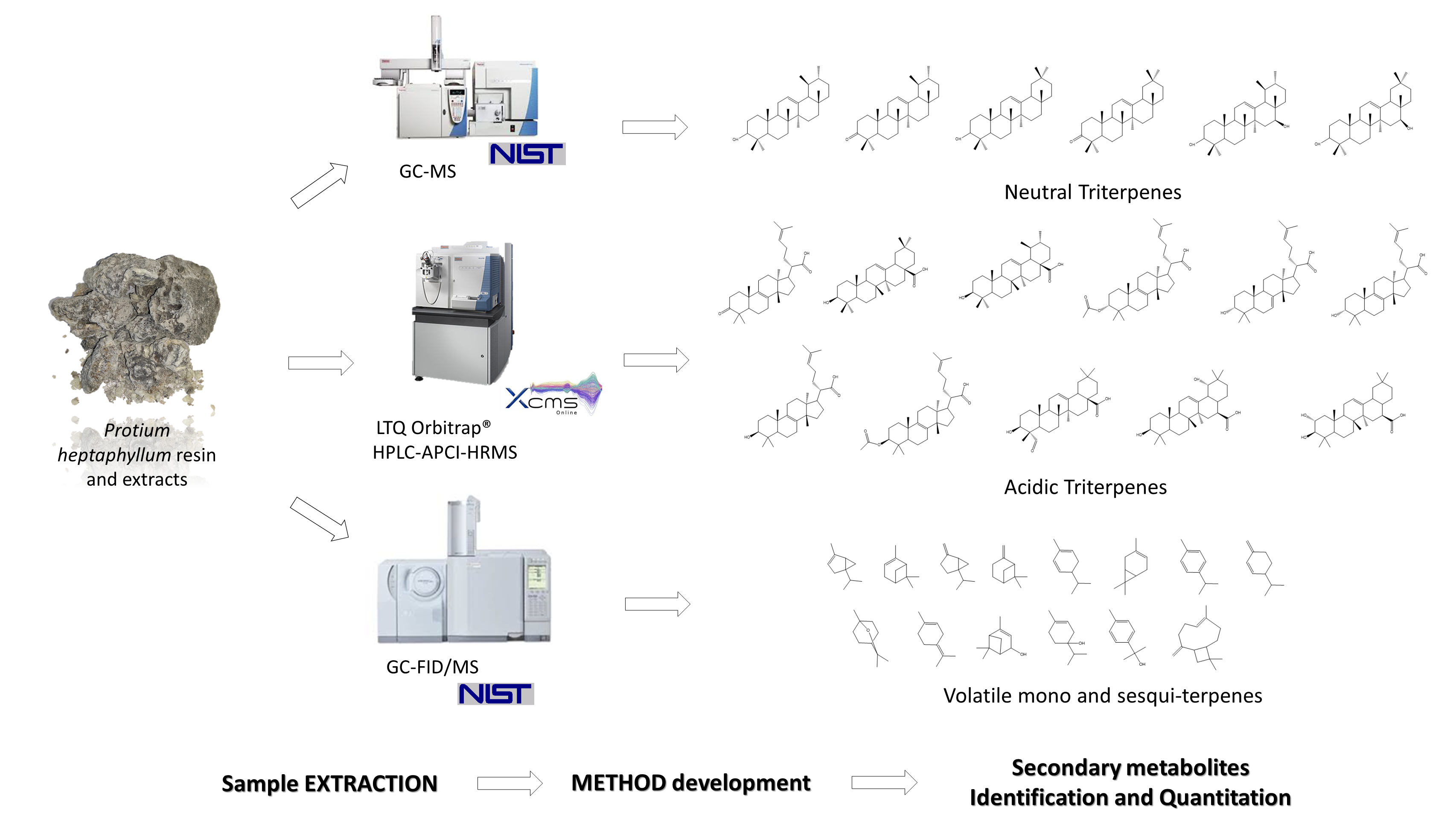 Molecules Free Full Text Quali Quantitative Characterization Of Volatile And Non Volatile Compounds In Protium Heptaphyllum Aubl Marchand Resin By Gc Ms Validated Method Gc Fid And Hplc Hrms2 Html