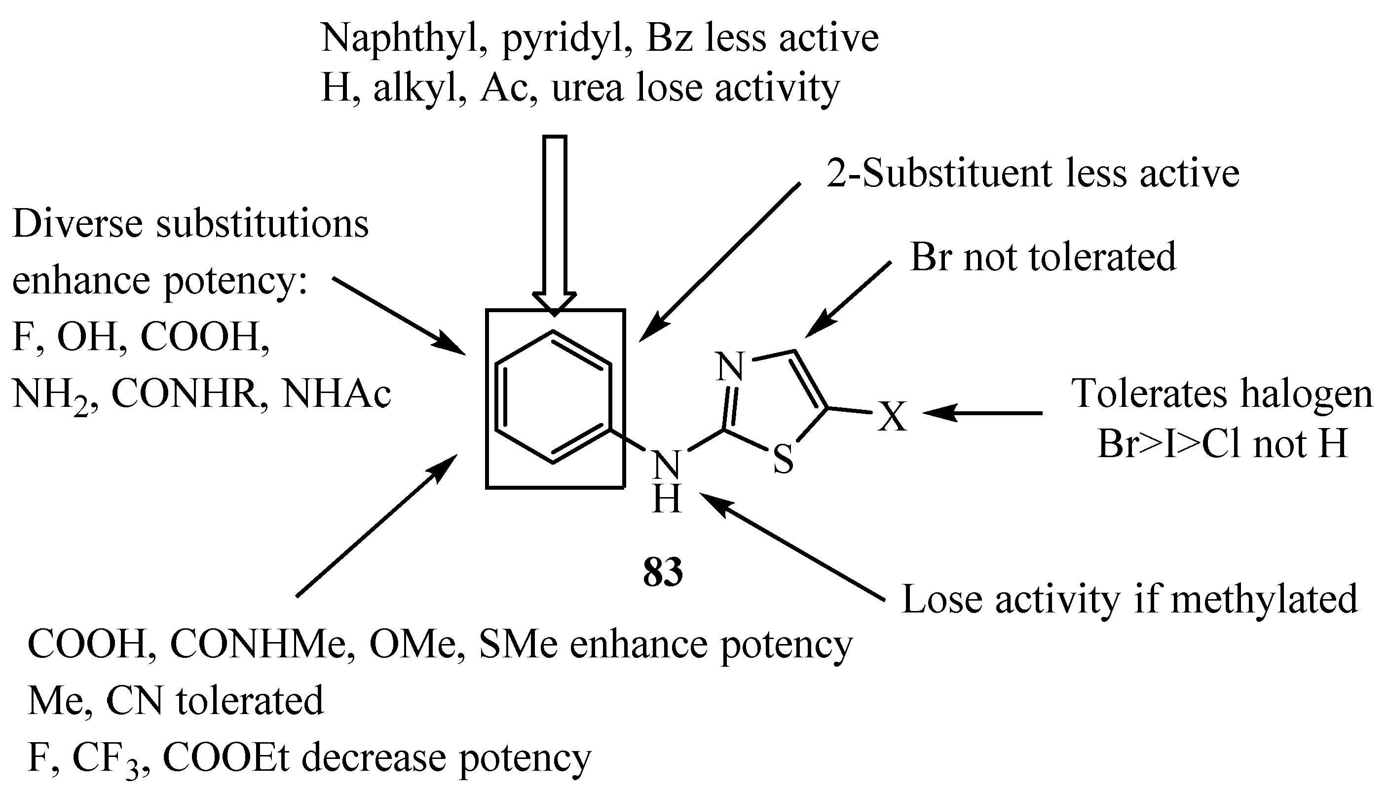 Molecules | Free Full-Text | An Overview On Synthetic 2-Aminothiazole ...