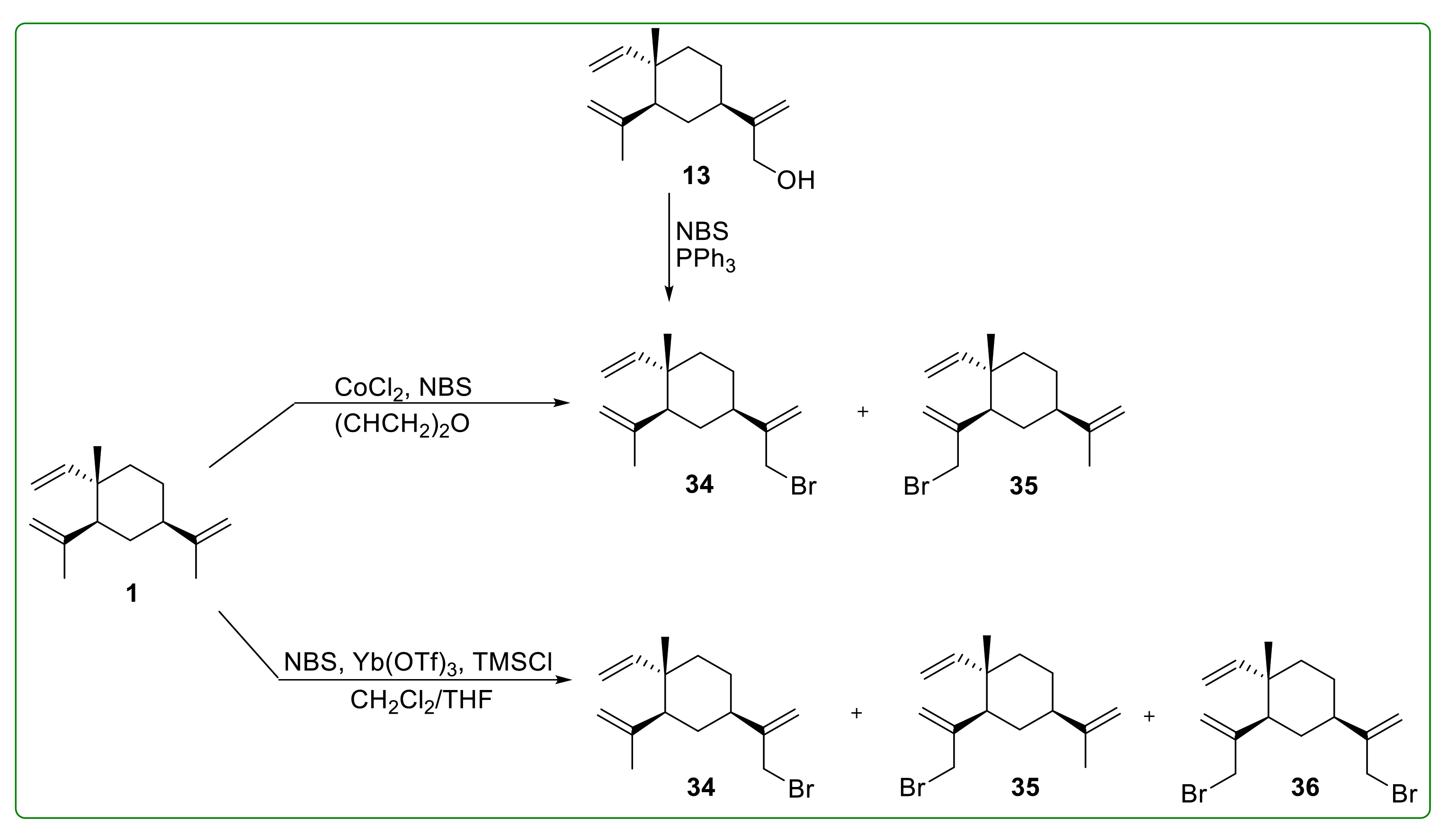 Molecules 26 01499 g007