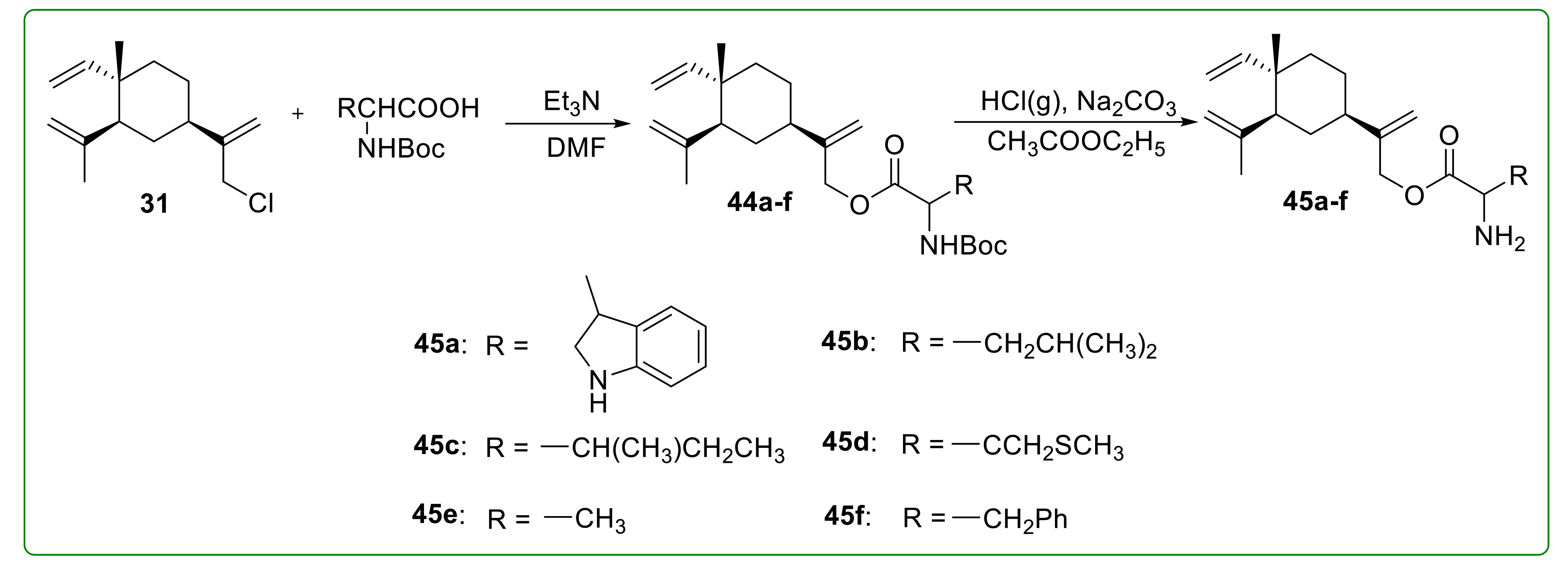 Molecules 26 01499 g014