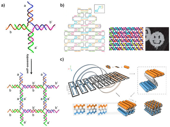 DNA double-crossover molecules