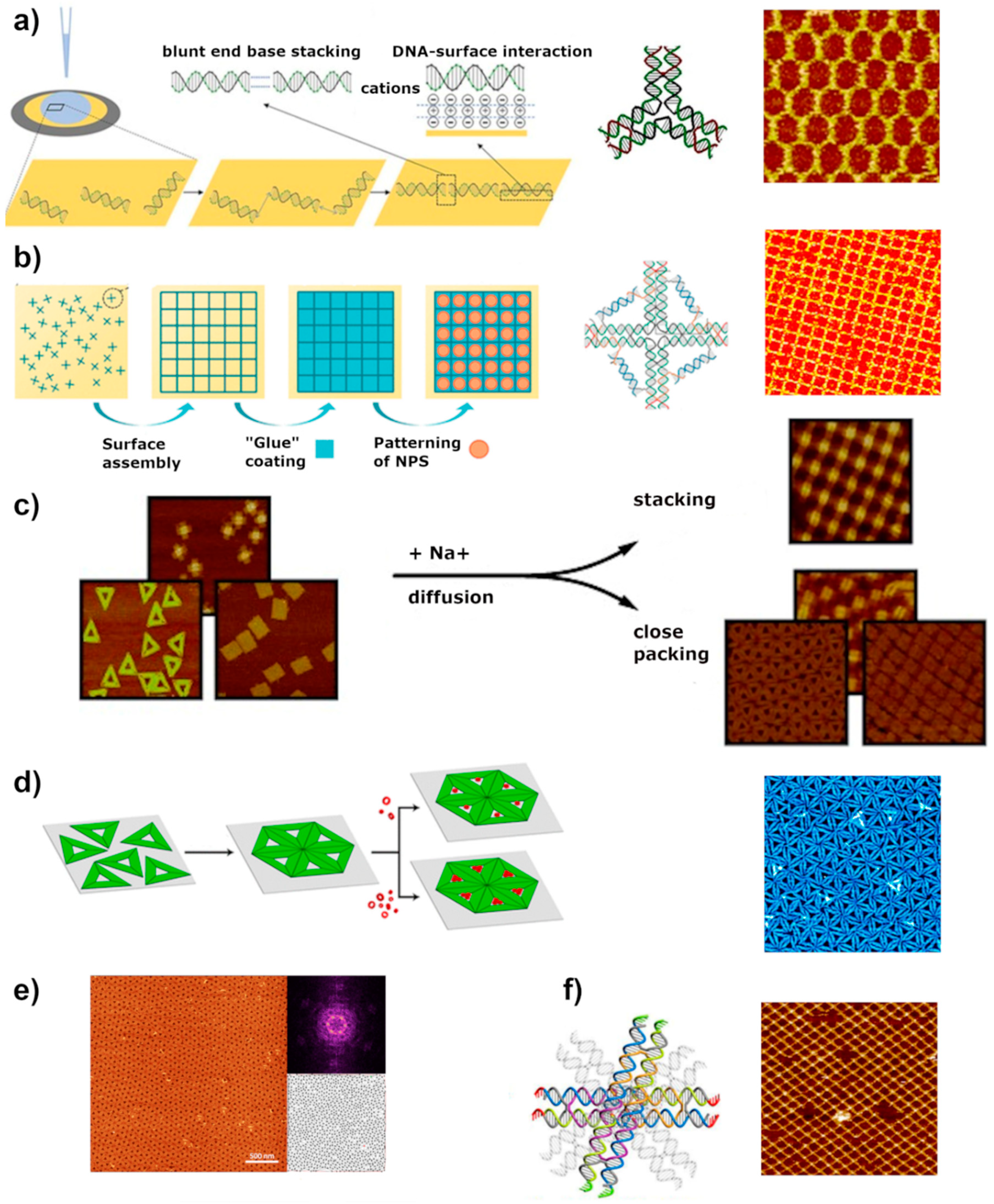 Molecules 26 01502 g005