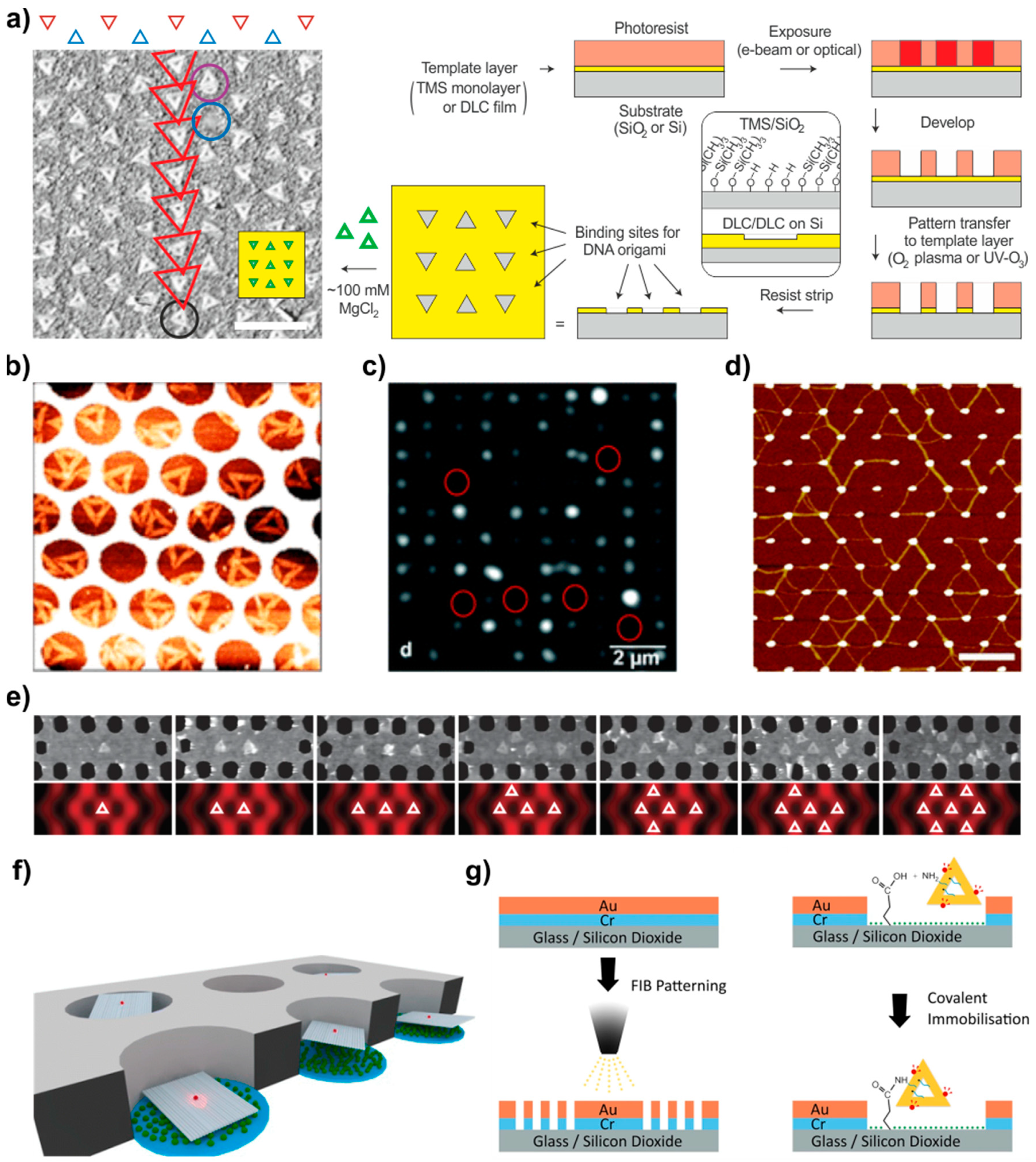 Molecules 26 01502 g007