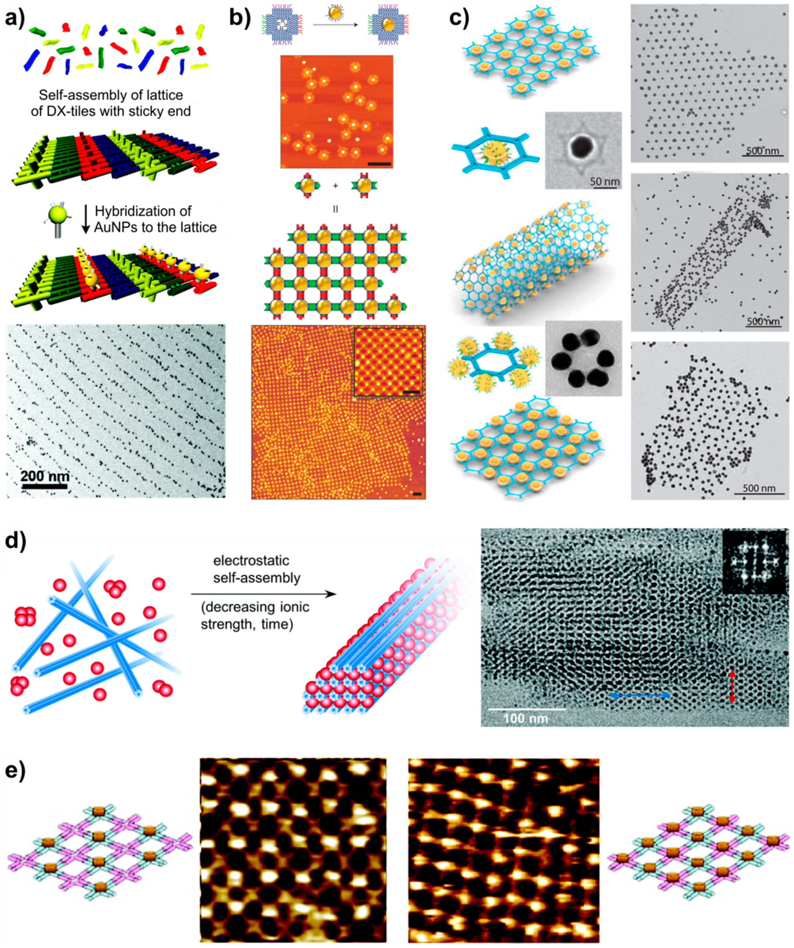 Molecules 26 01502 g008