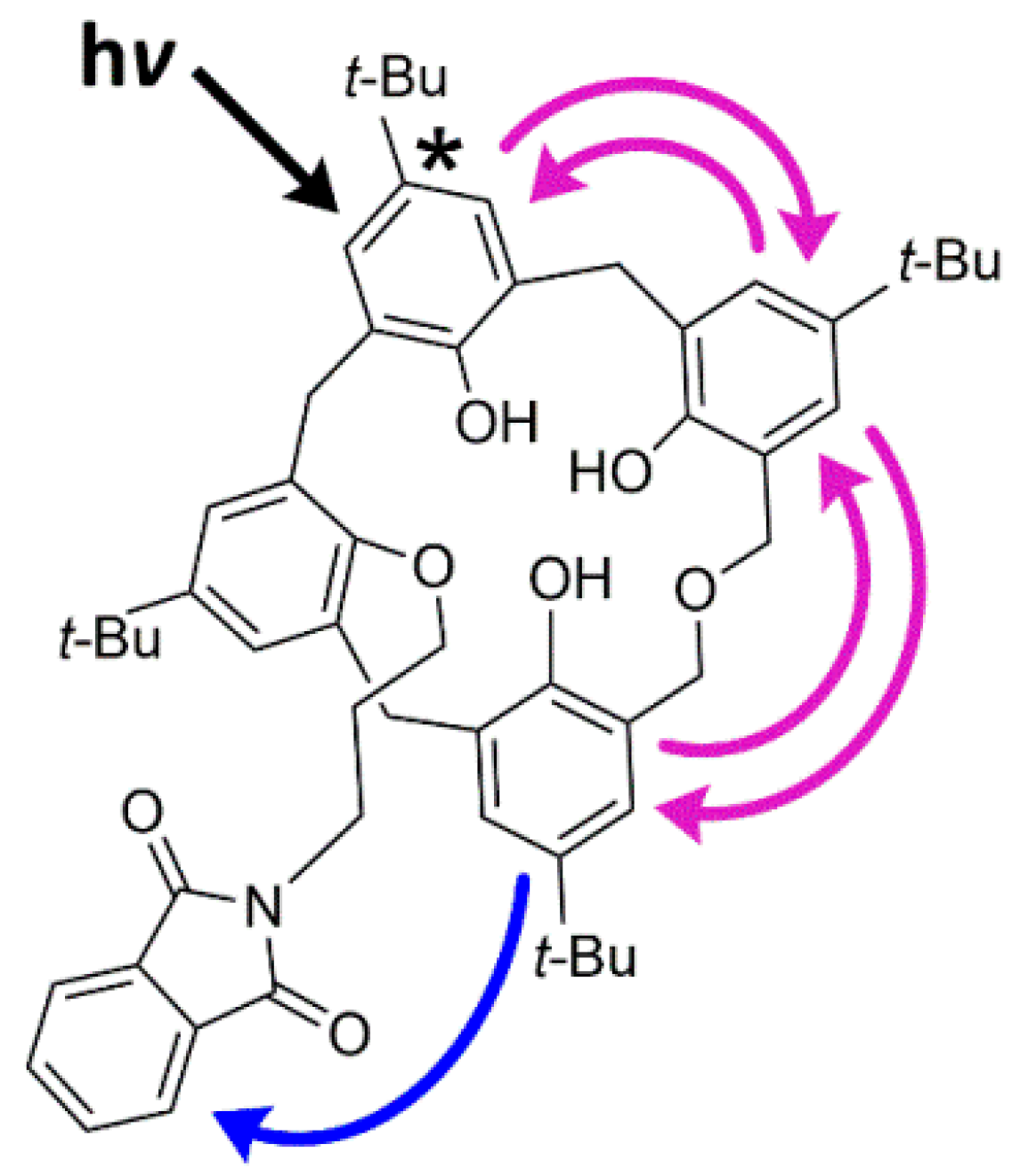 Molecules 26 01503 g009 Molecules 26 01503 g009