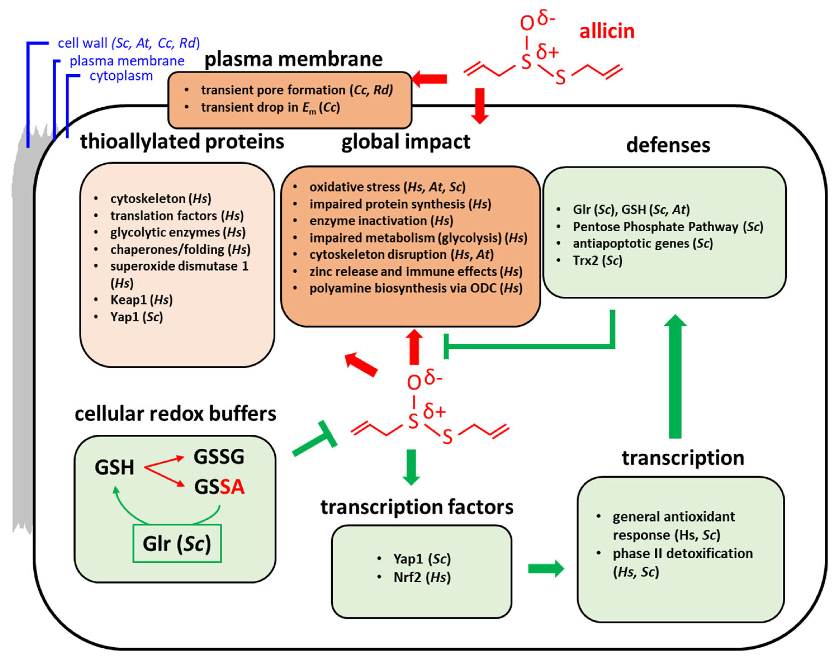 Molecules 26 01505 g005 Molecules 26 01505 g005