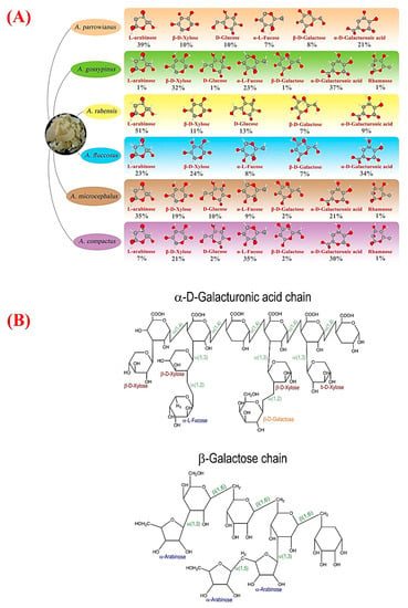 Agglomeration of gum tragacanth as a promising novel approach to structural  modification - ScienceDirect