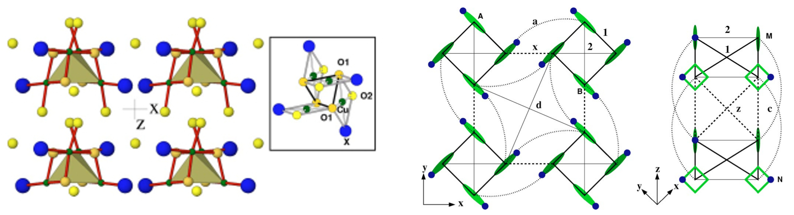 Molecules 26 01522 g004