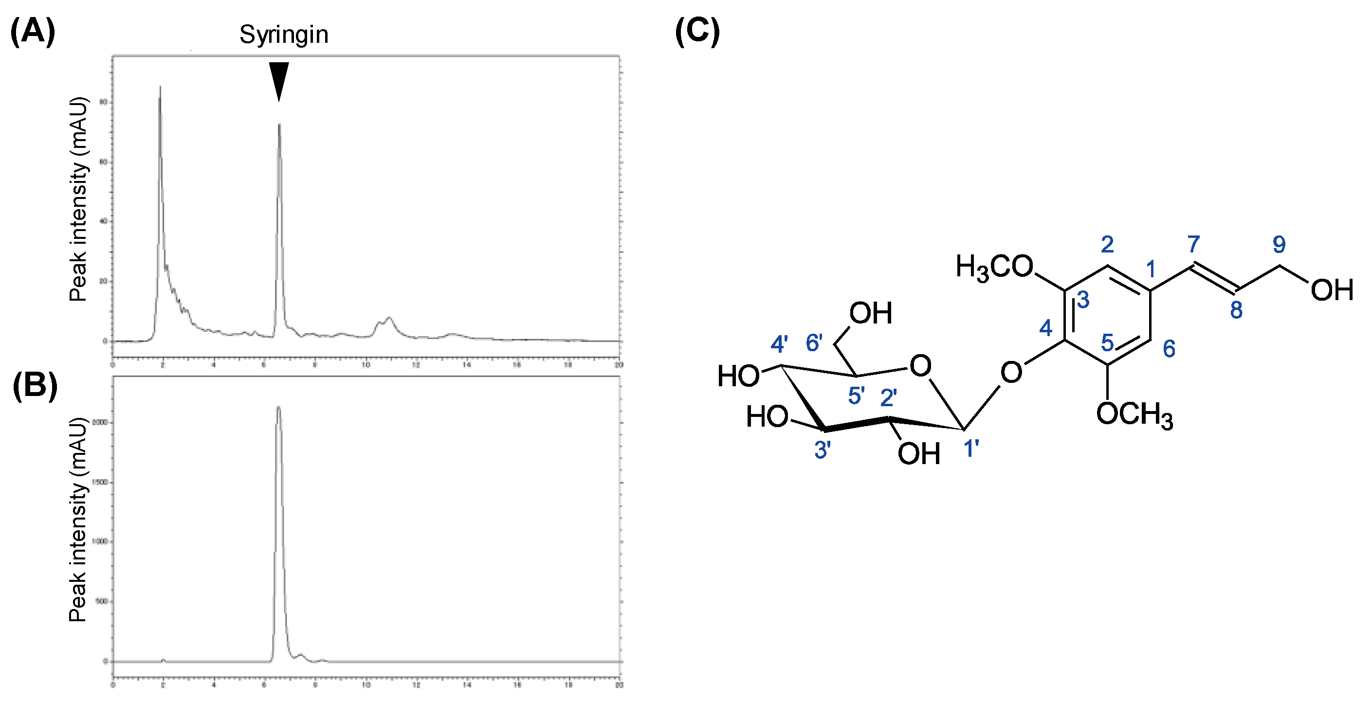 Molecules 26 01531 g002 Molecules 26 01531 g002