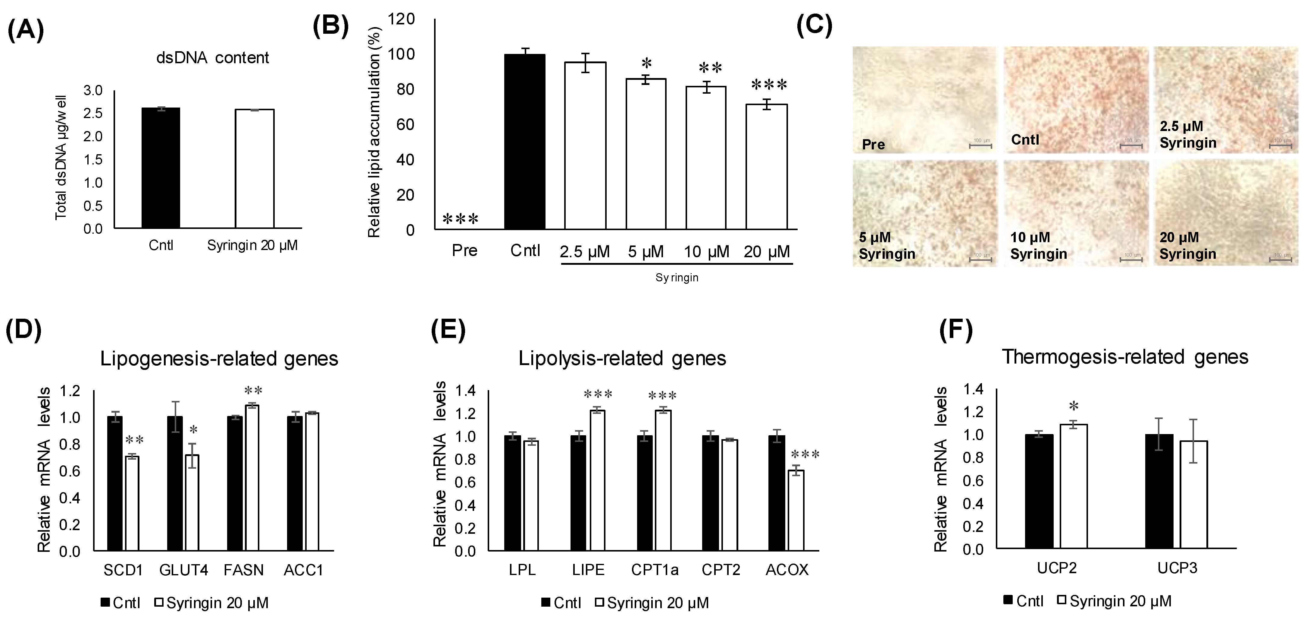 Molecules 26 01531 g004 Molecules 26 01531 g004