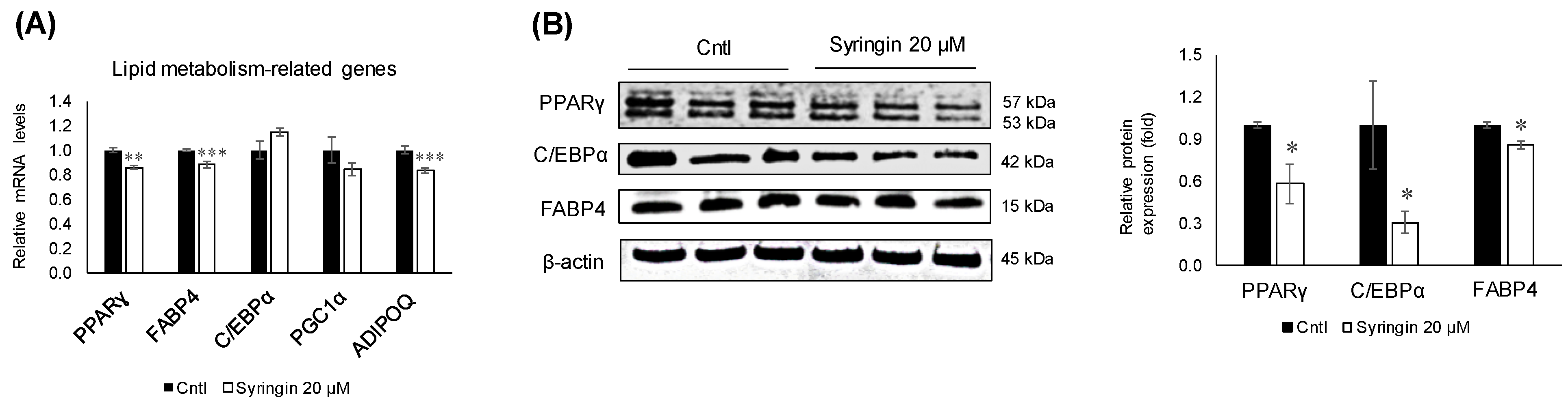 Molecules 26 01531 g005 Molecules 26 01531 g005