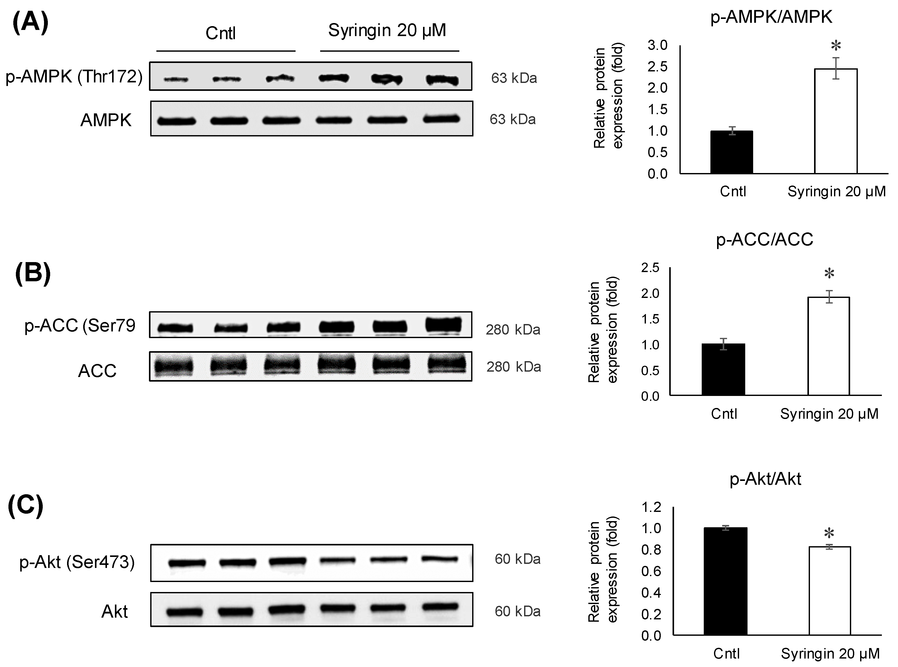 Molecules 26 01531 g006 Molecules 26 01531 g006