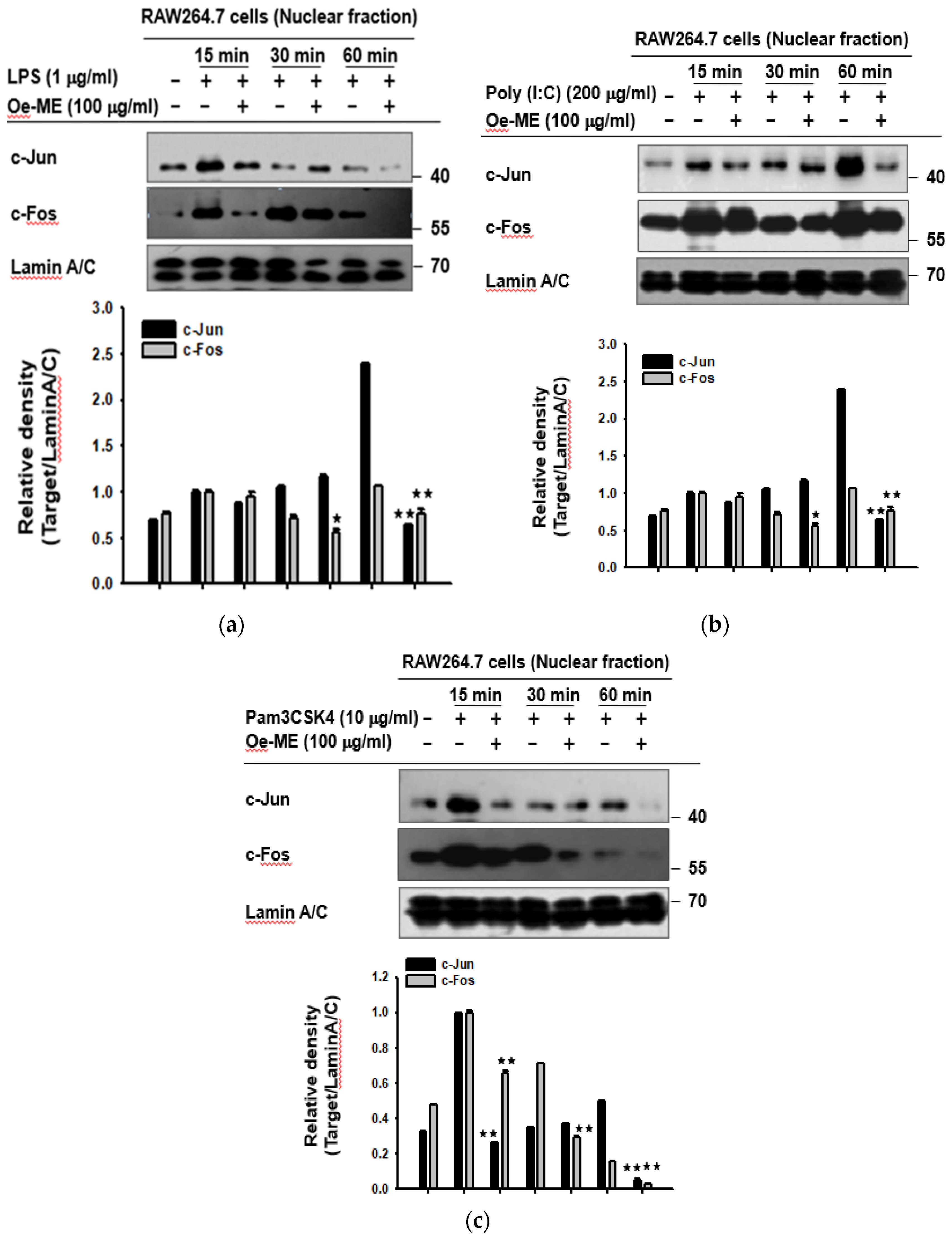 Molecules 26 01540 g002