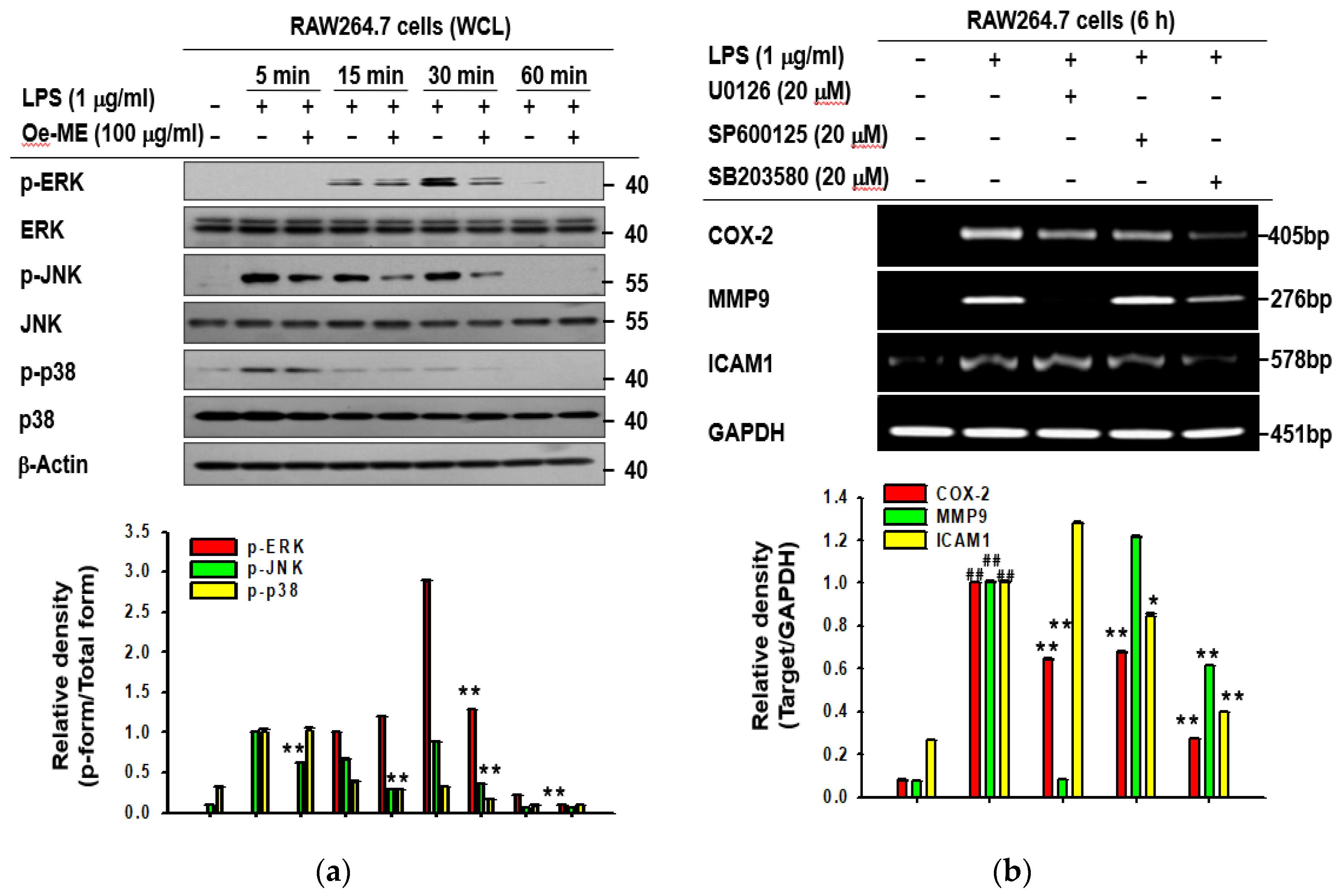 Molecules 26 01540 g003a