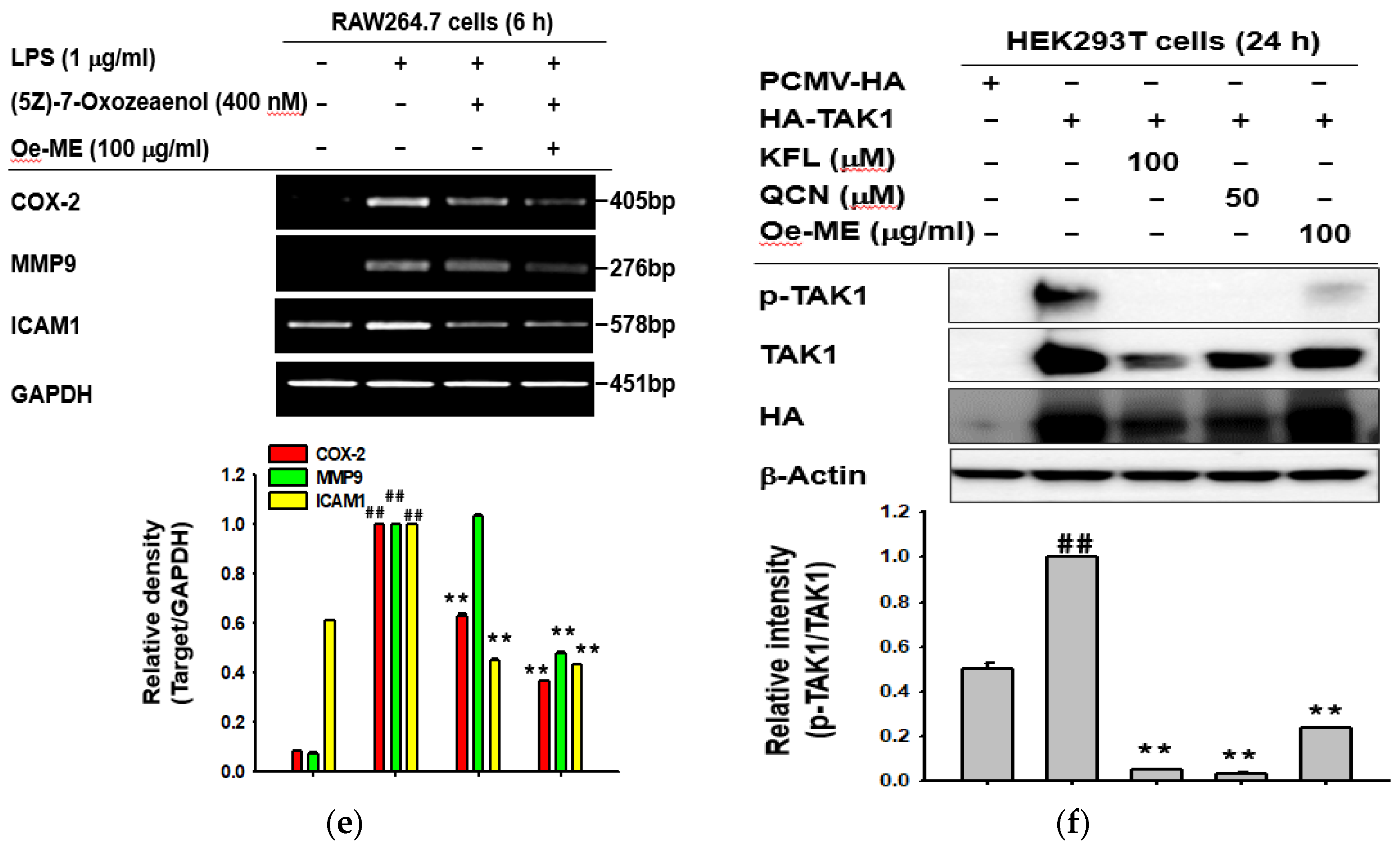 Molecules 26 01540 g004b