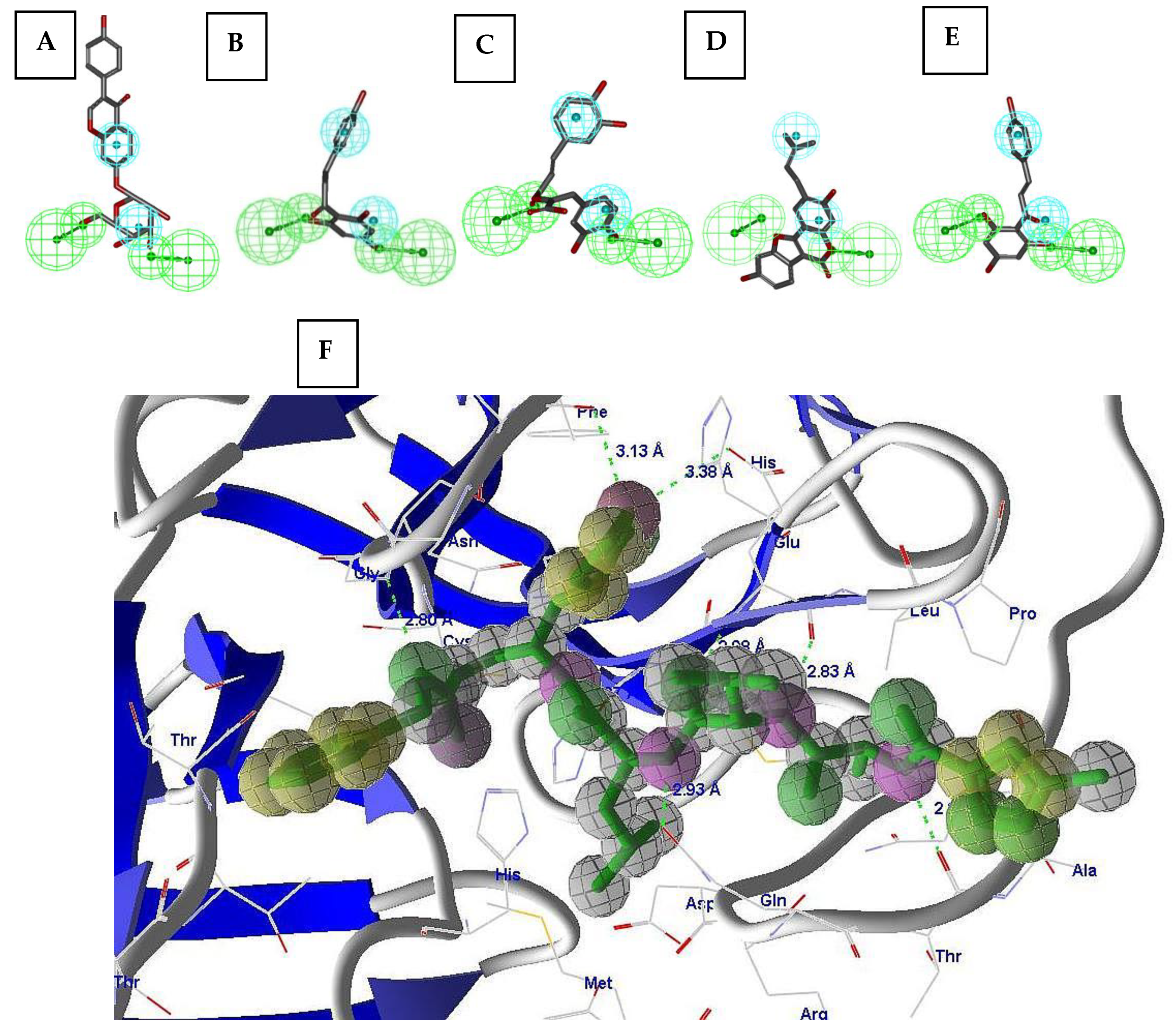 Molecules 26 01549 g002 Molecules 26 01549 g002
