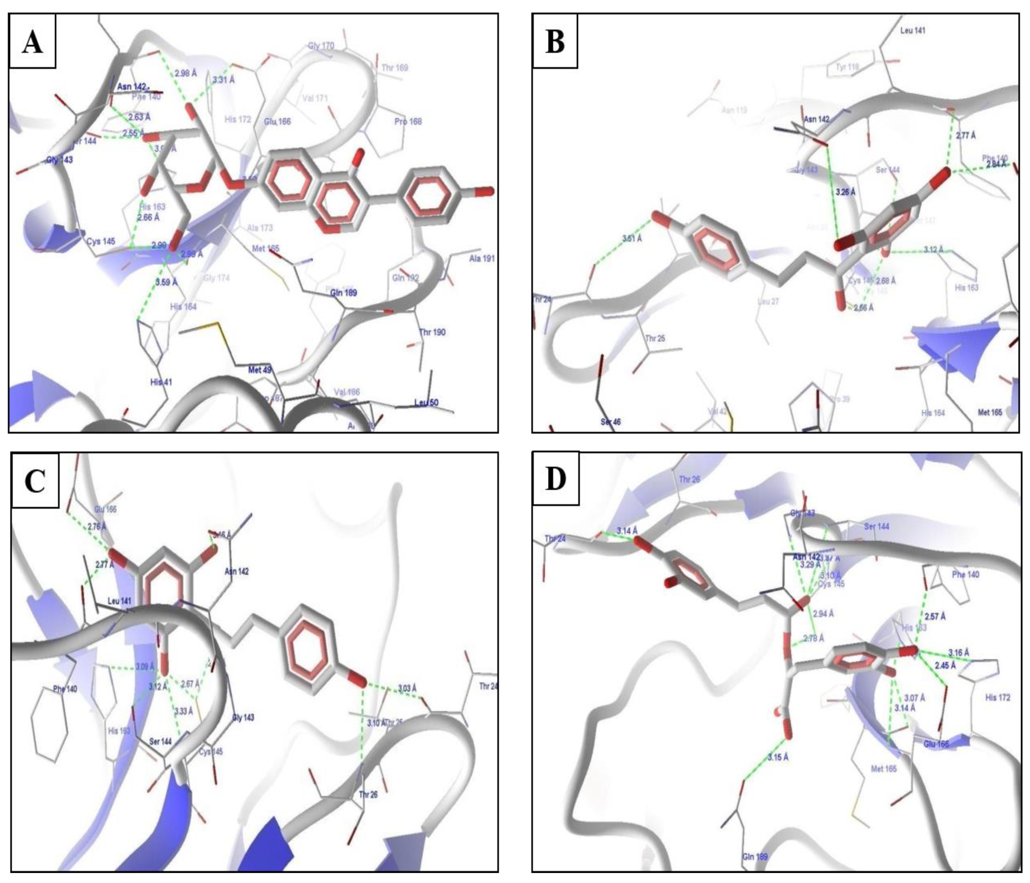 Molecules 26 01549 g003a Molecules 26 01549 g003a