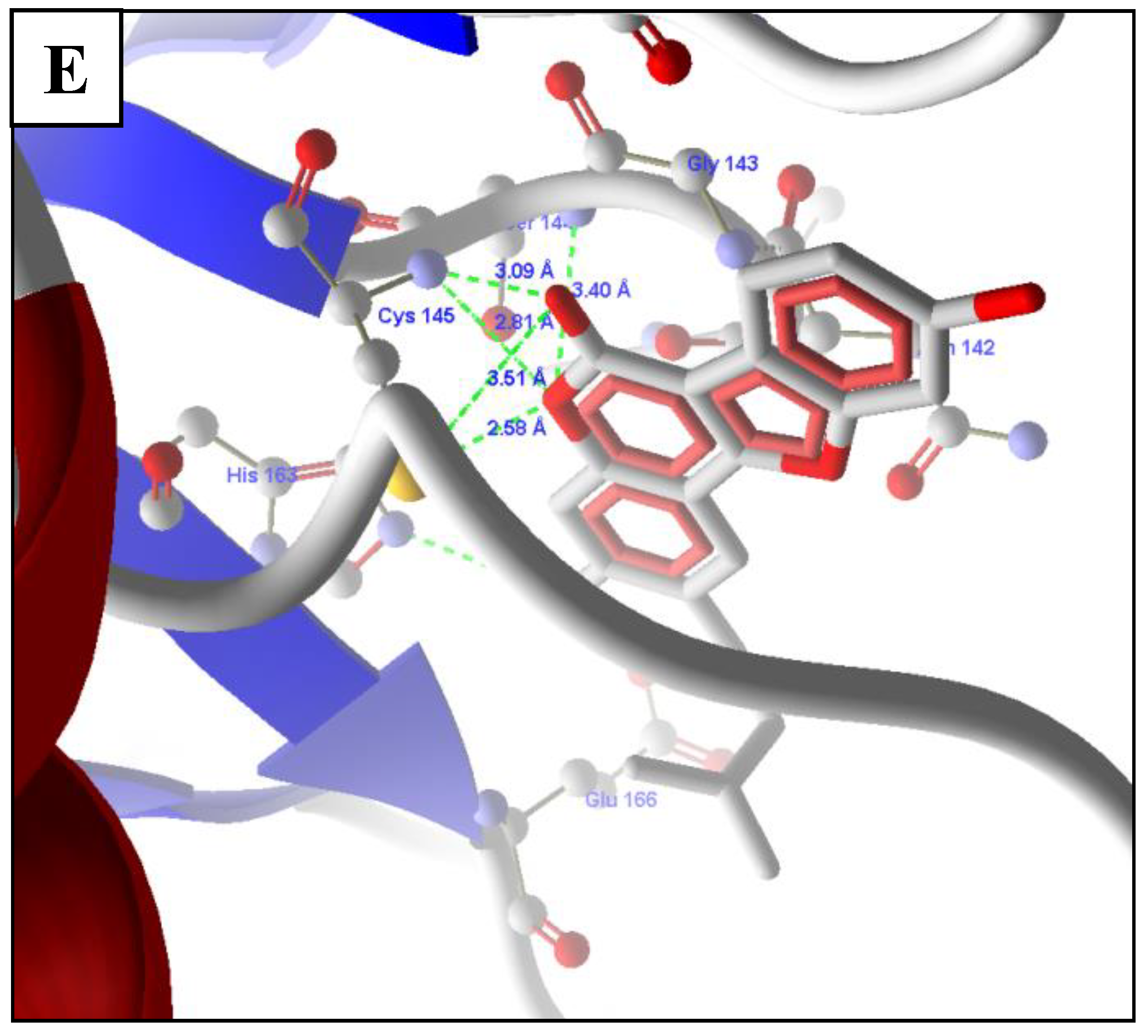 Molecules 26 01549 g003b Molecules 26 01549 g003b