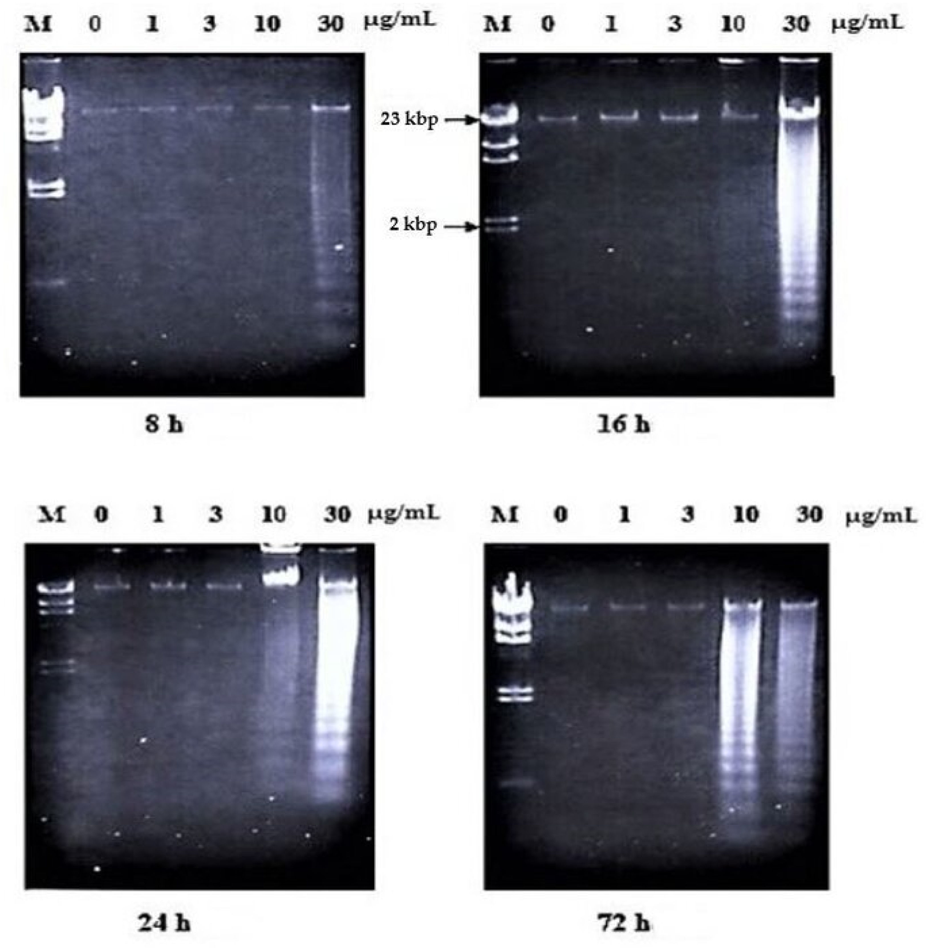 Molecules 26 01554 g003 Molecules 26 01554 g003