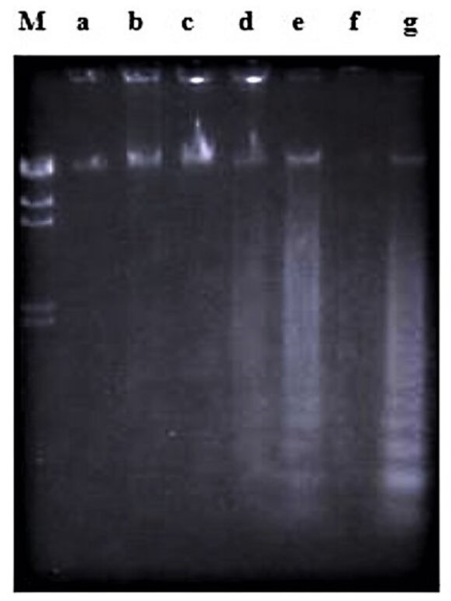 Molecules 26 01554 g005 Molecules 26 01554 g005