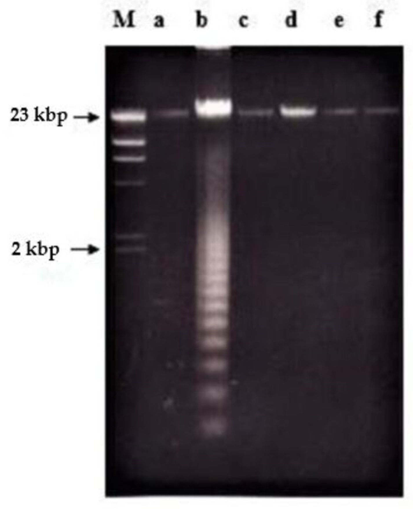 Molecules 26 01554 g009 Molecules 26 01554 g009