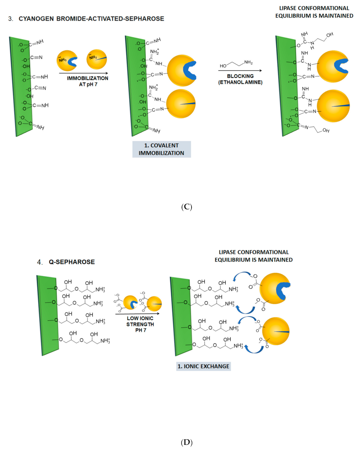 Molecules 26 01574 g001b Molecules 26 01574 g001b