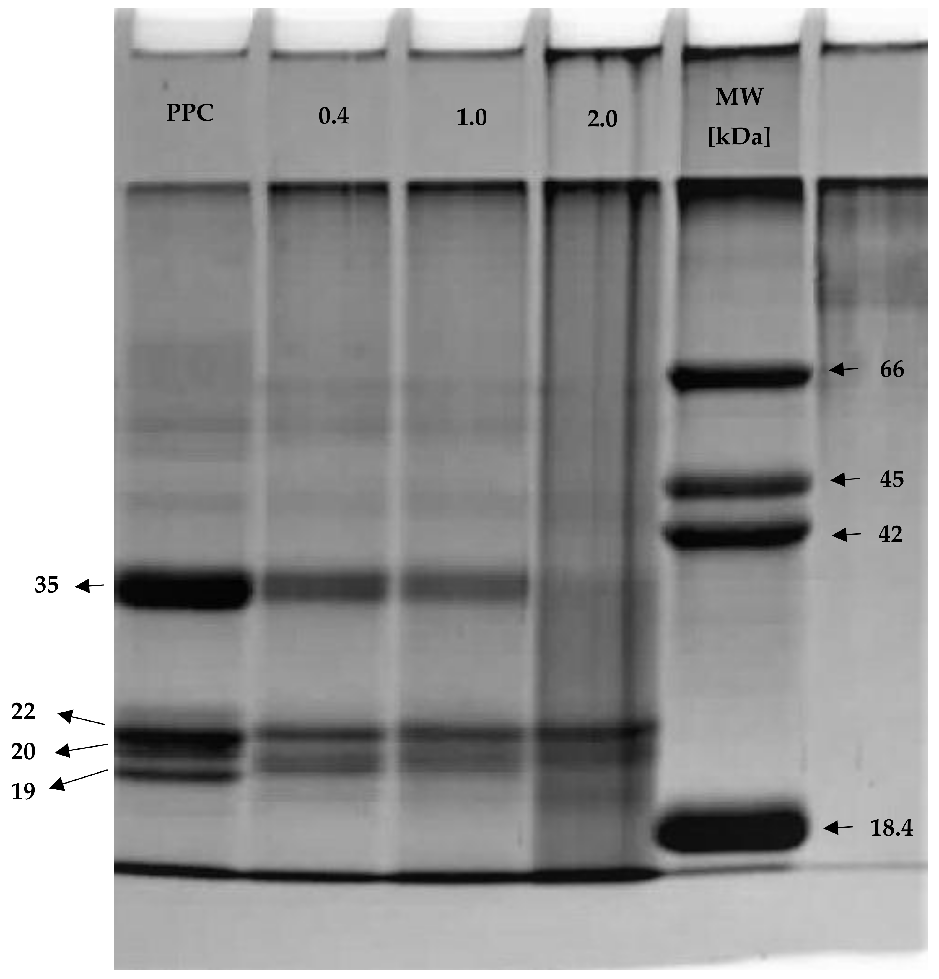 Molecules 26 01575 g001 Molecules 26 01575 g001