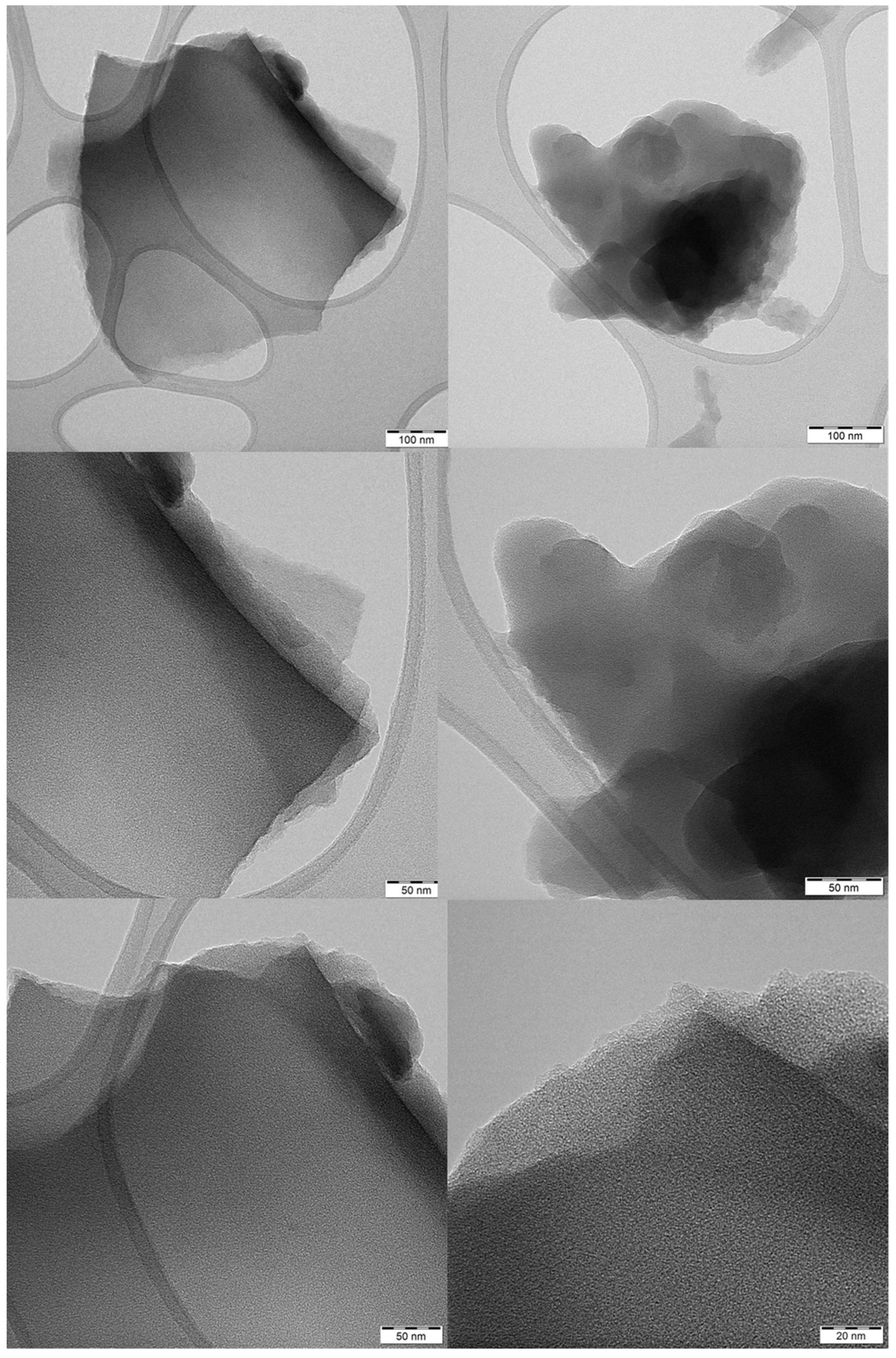 Molecules 26 01595 g006 Molecules 26 01595 g006