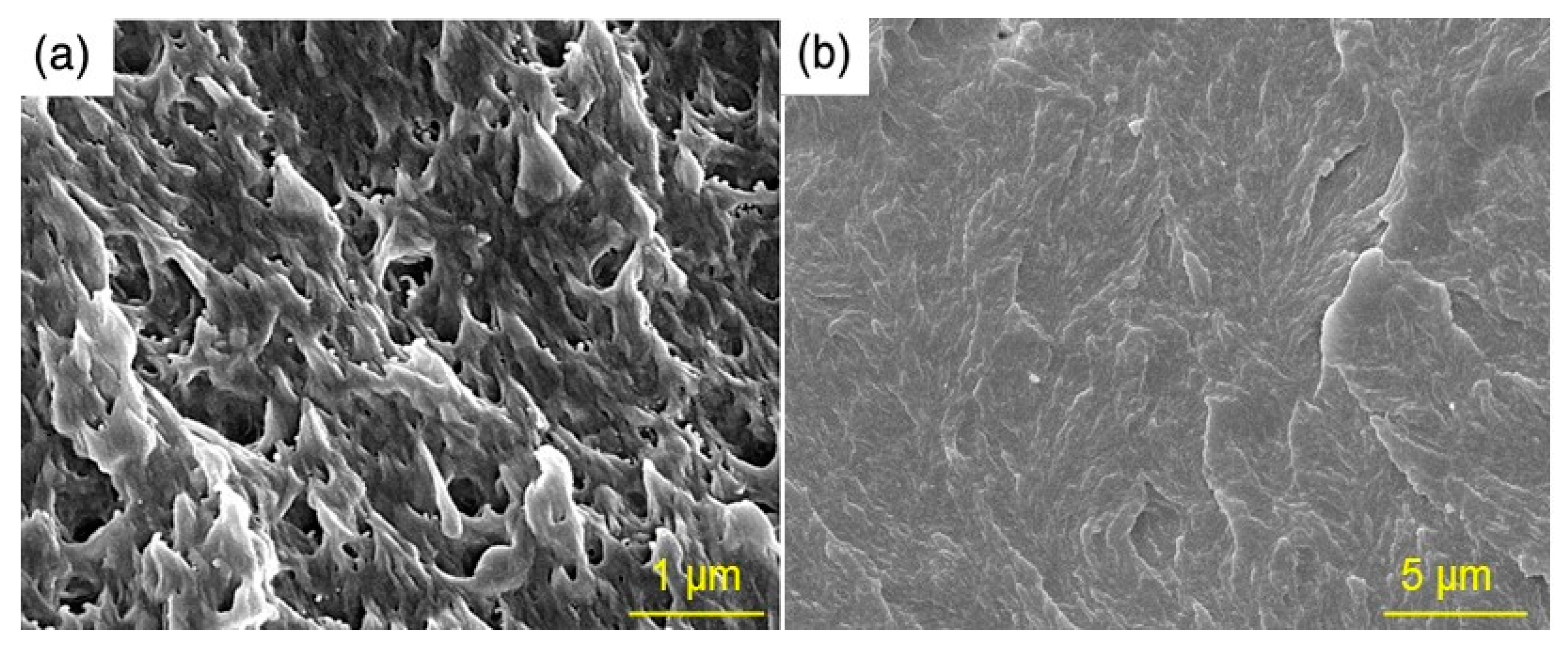 Molecules 26 01597 g002