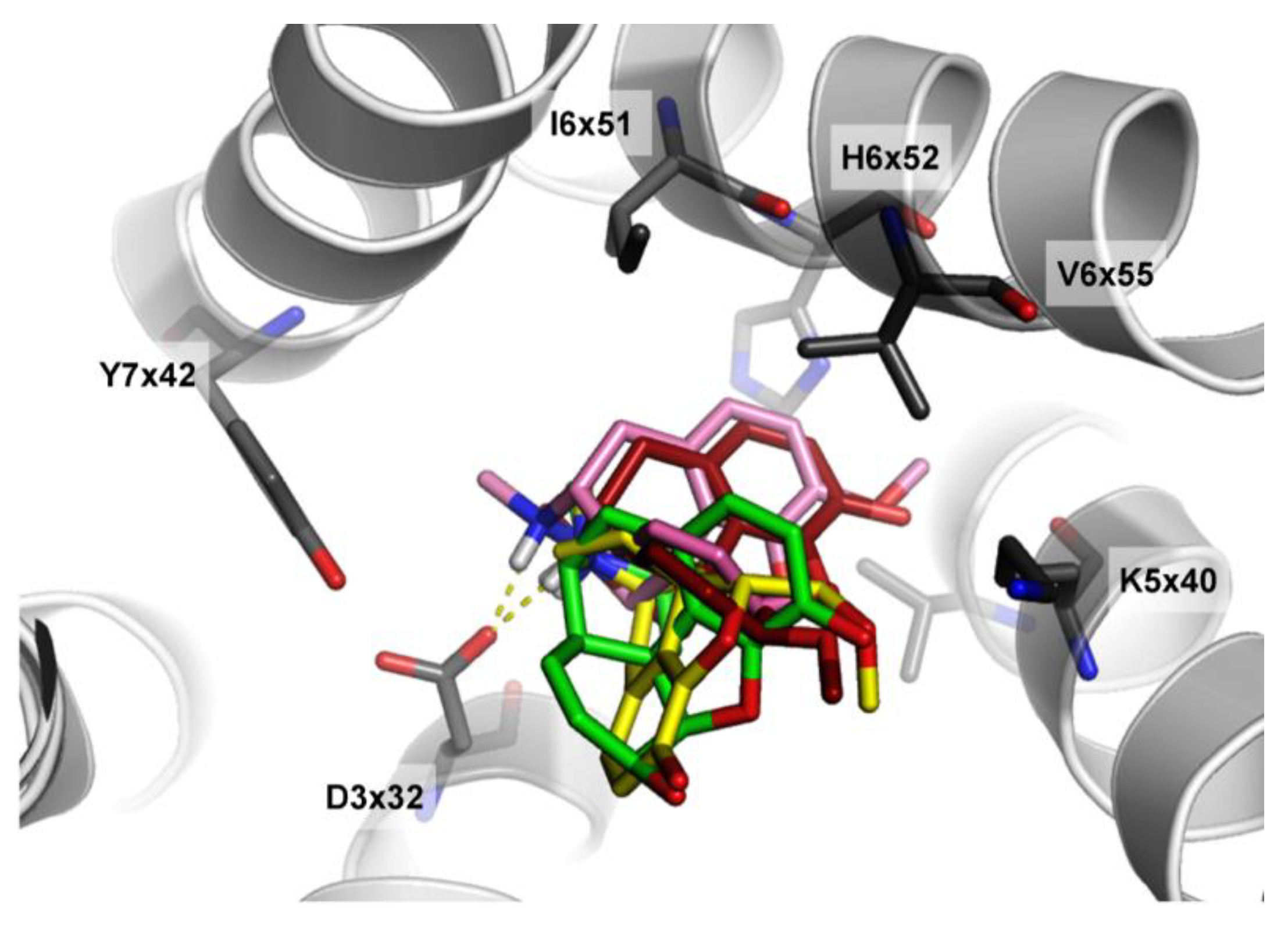 Molecules 26 01607 g012 Molecules 26 01607 g012