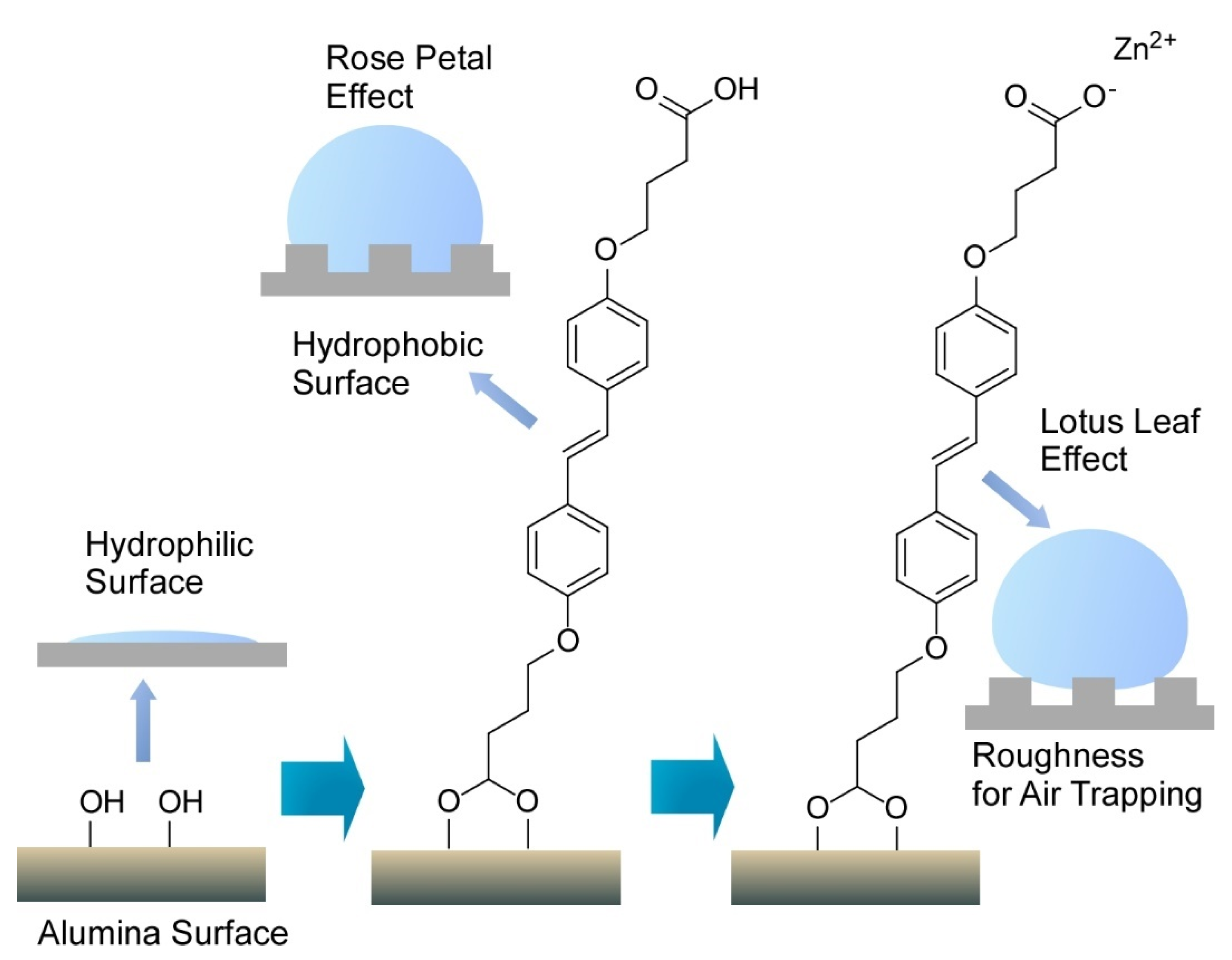 Molecules 26 01621 g014 Molecules 26 01621 g014