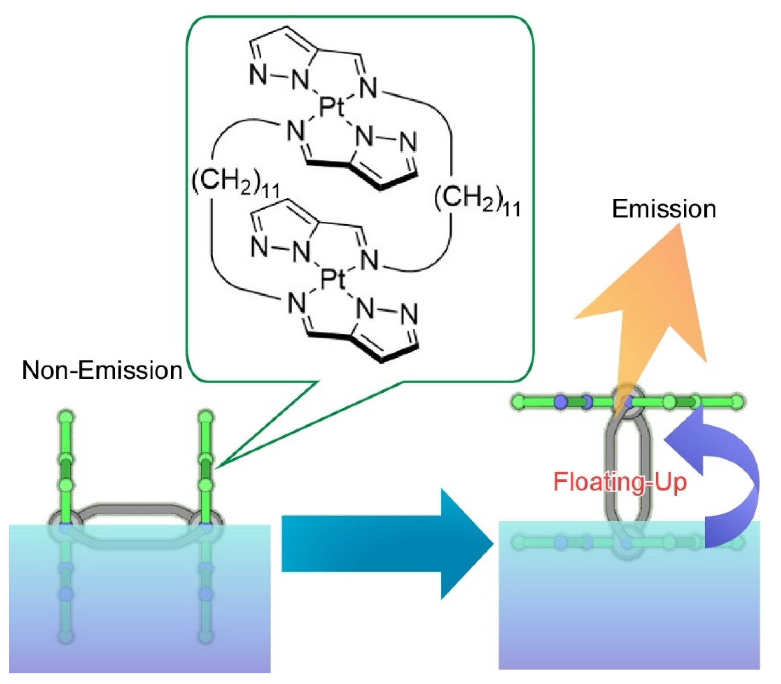Molecules 26 01621 g015 Molecules 26 01621 g015