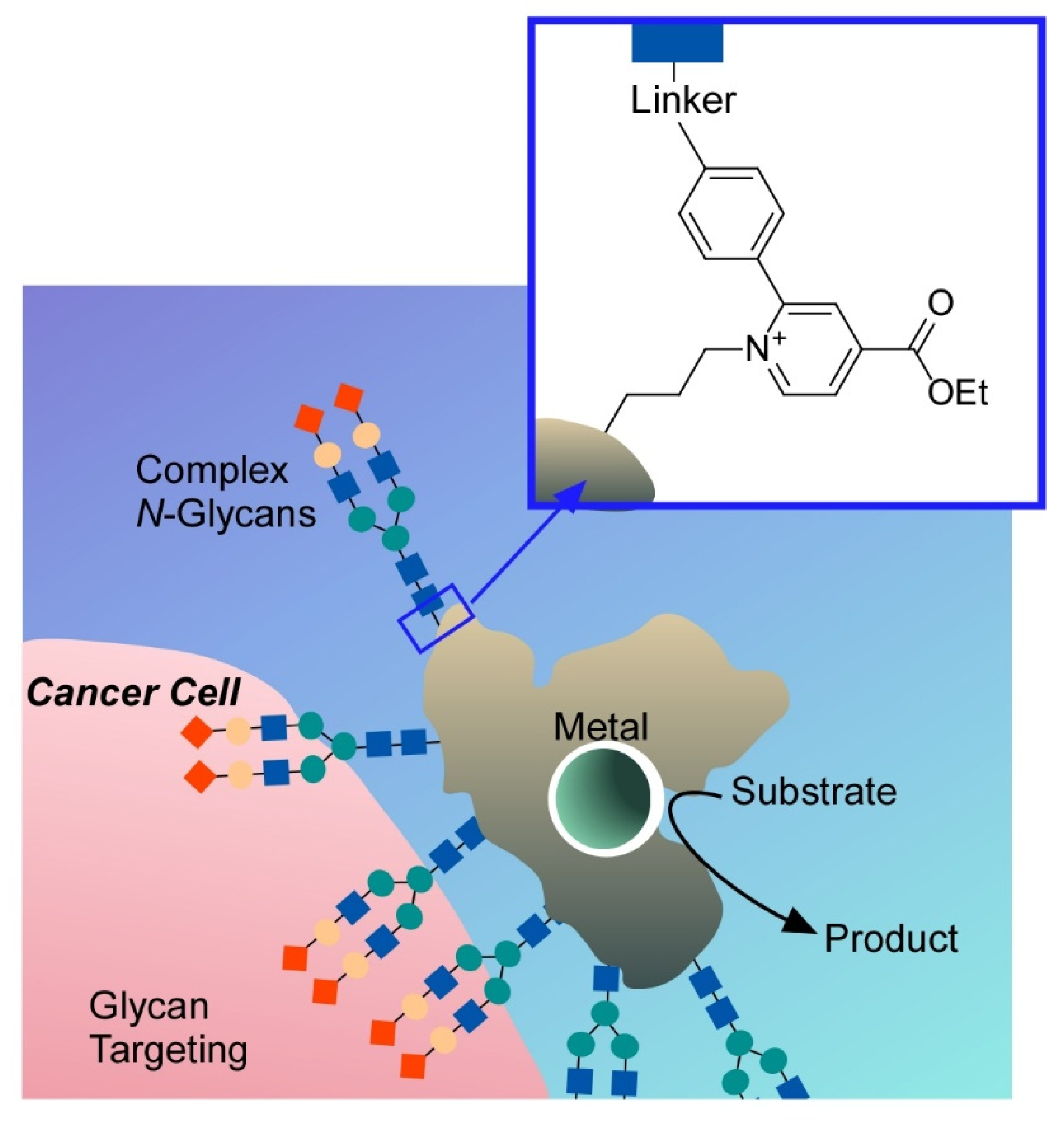 Molecules 26 01621 g027 Molecules 26 01621 g027
