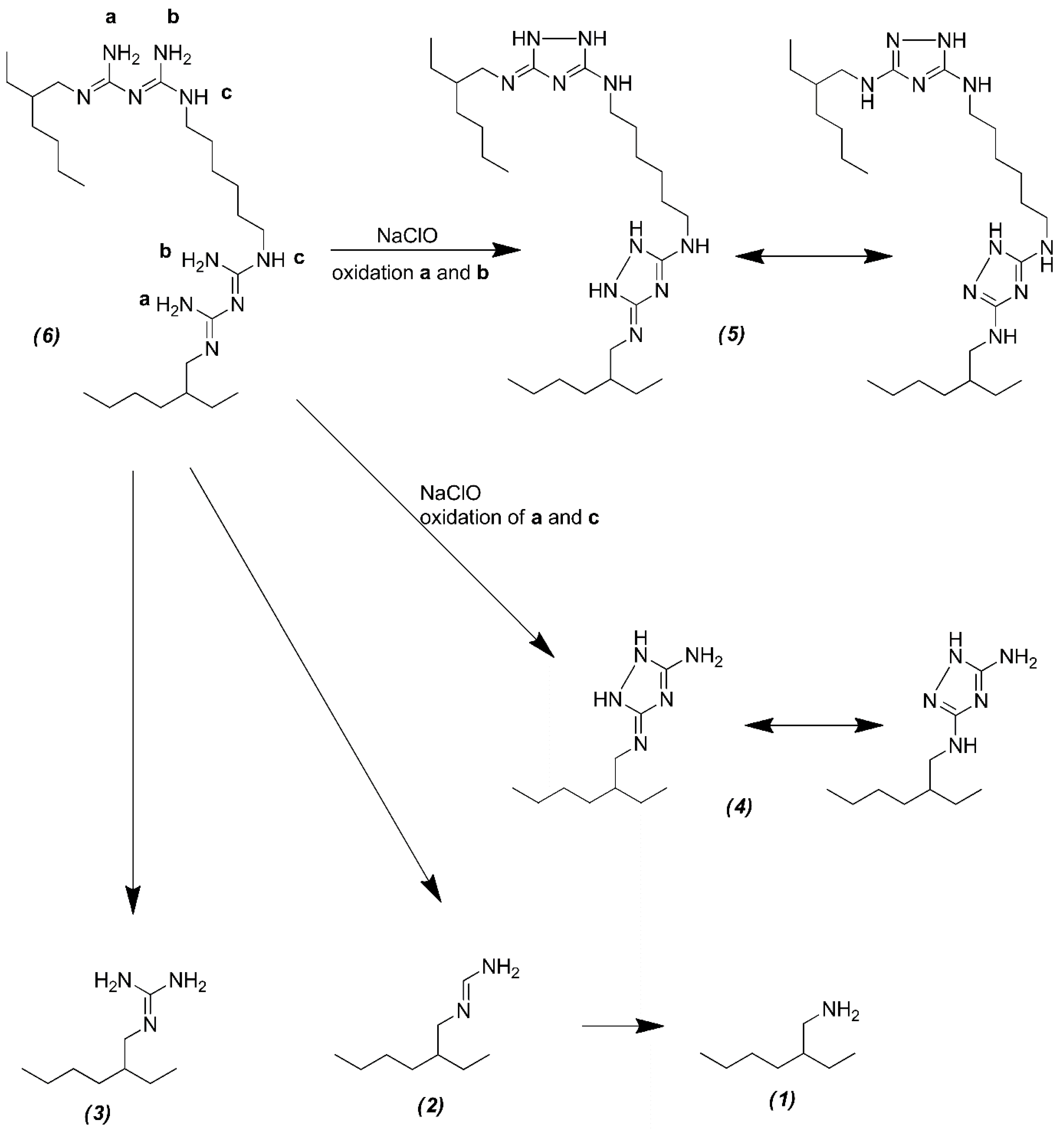 Molecules 26 01623 g003 Molecules 26 01623 g003