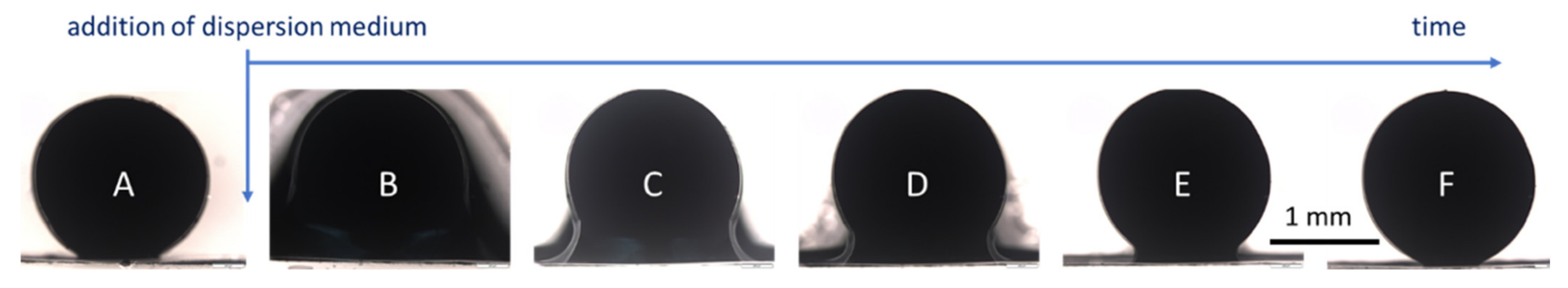 Molecules 26 01633 g009