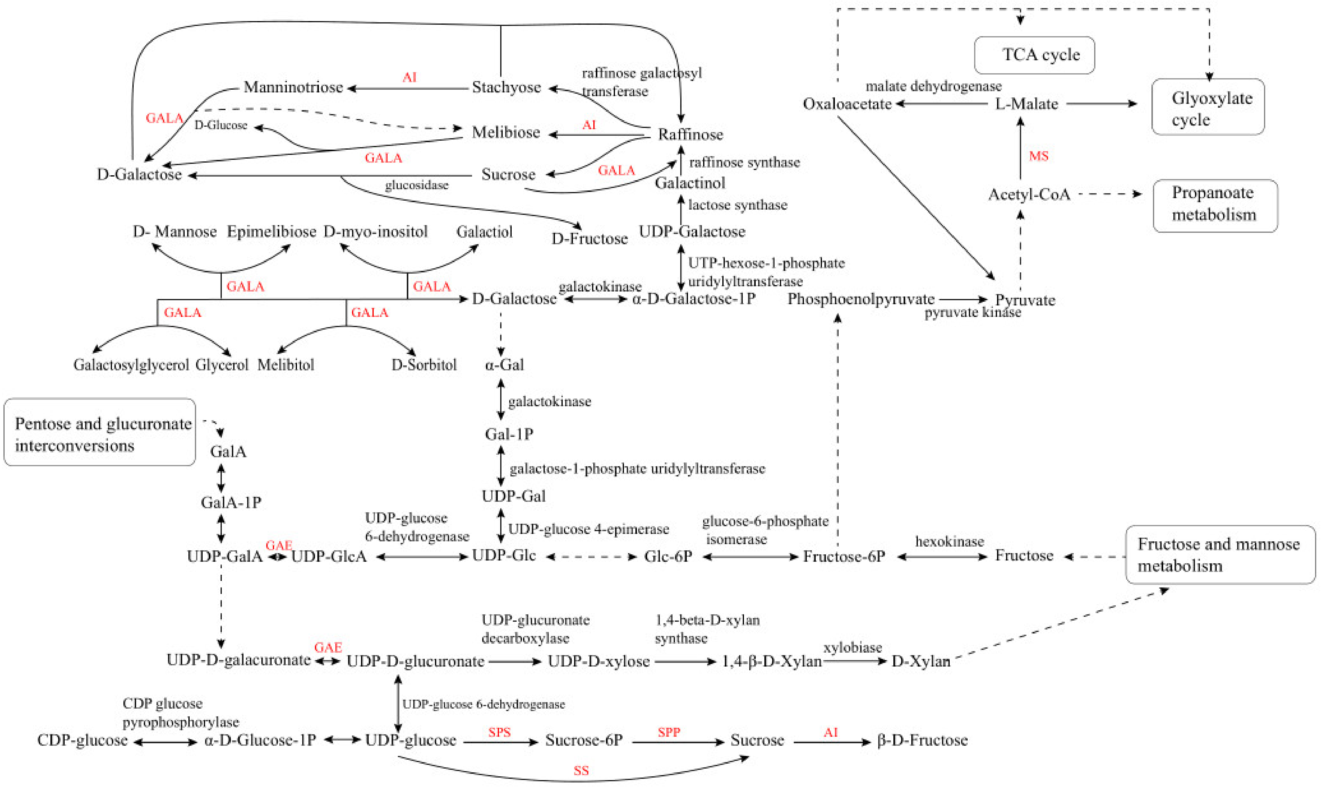 Molecules 26 01641 g001 Molecules 26 01641 g001