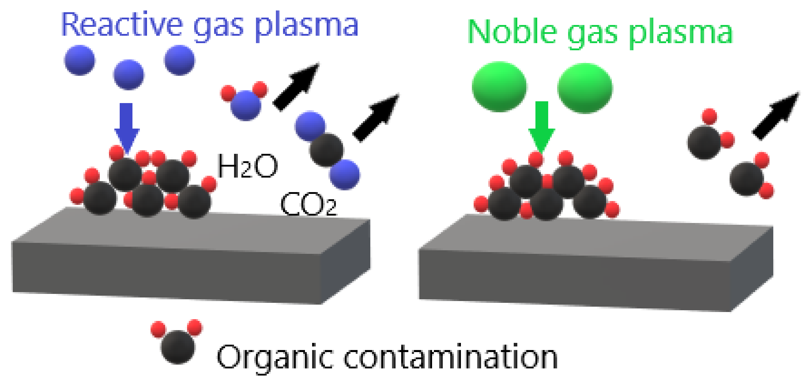 Molecules 26 01665 g007