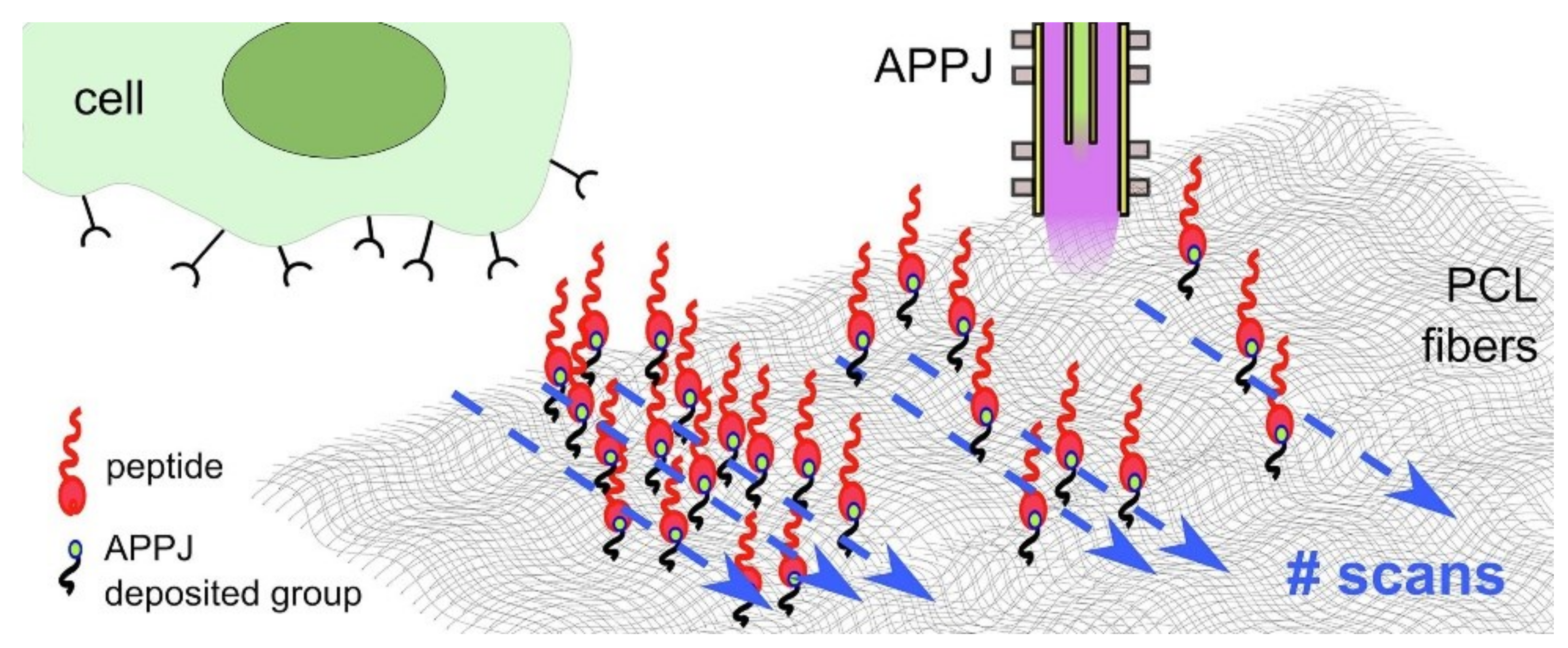 Molecules 26 01665 g011