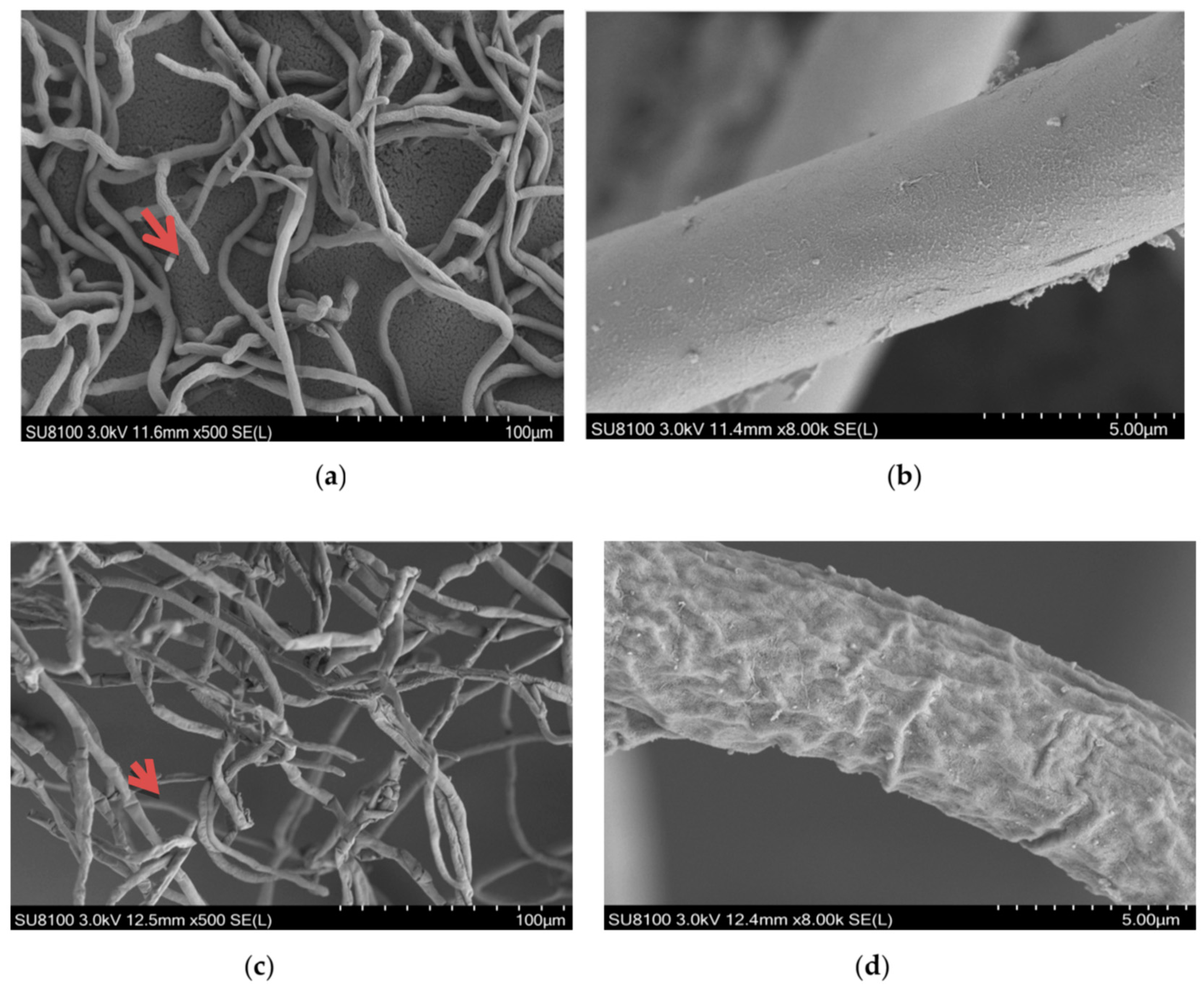Molecules 26 01667 g002a