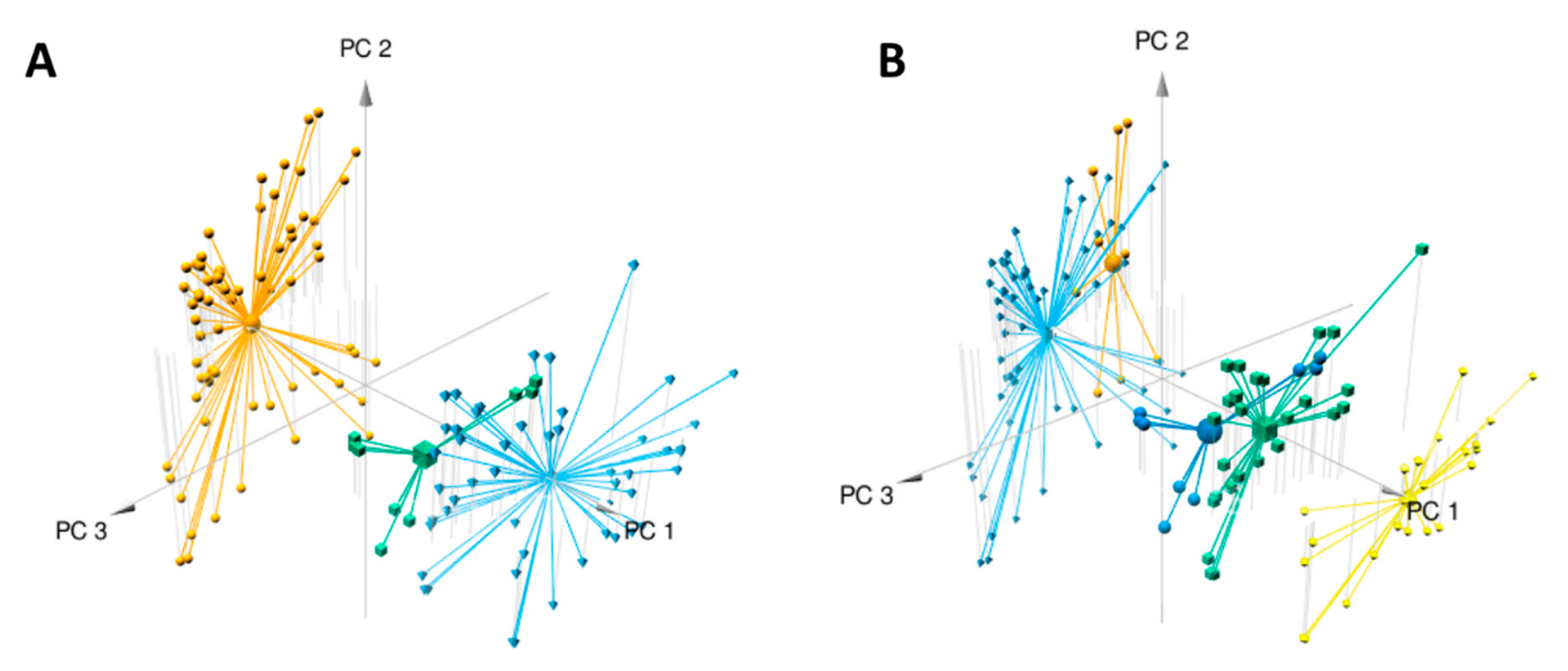 Molecules 26 01668 g002