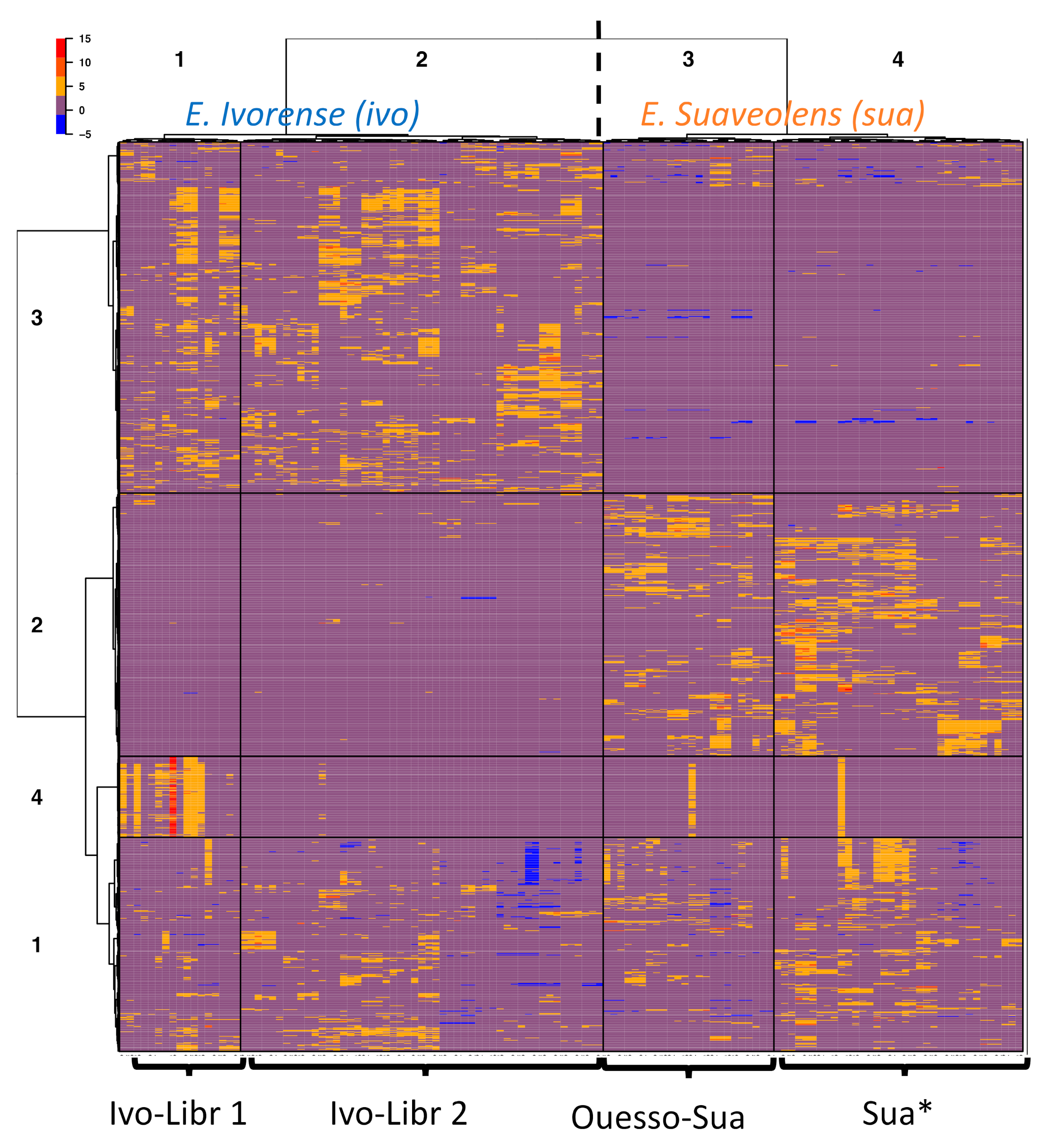 Molecules 26 01668 g003