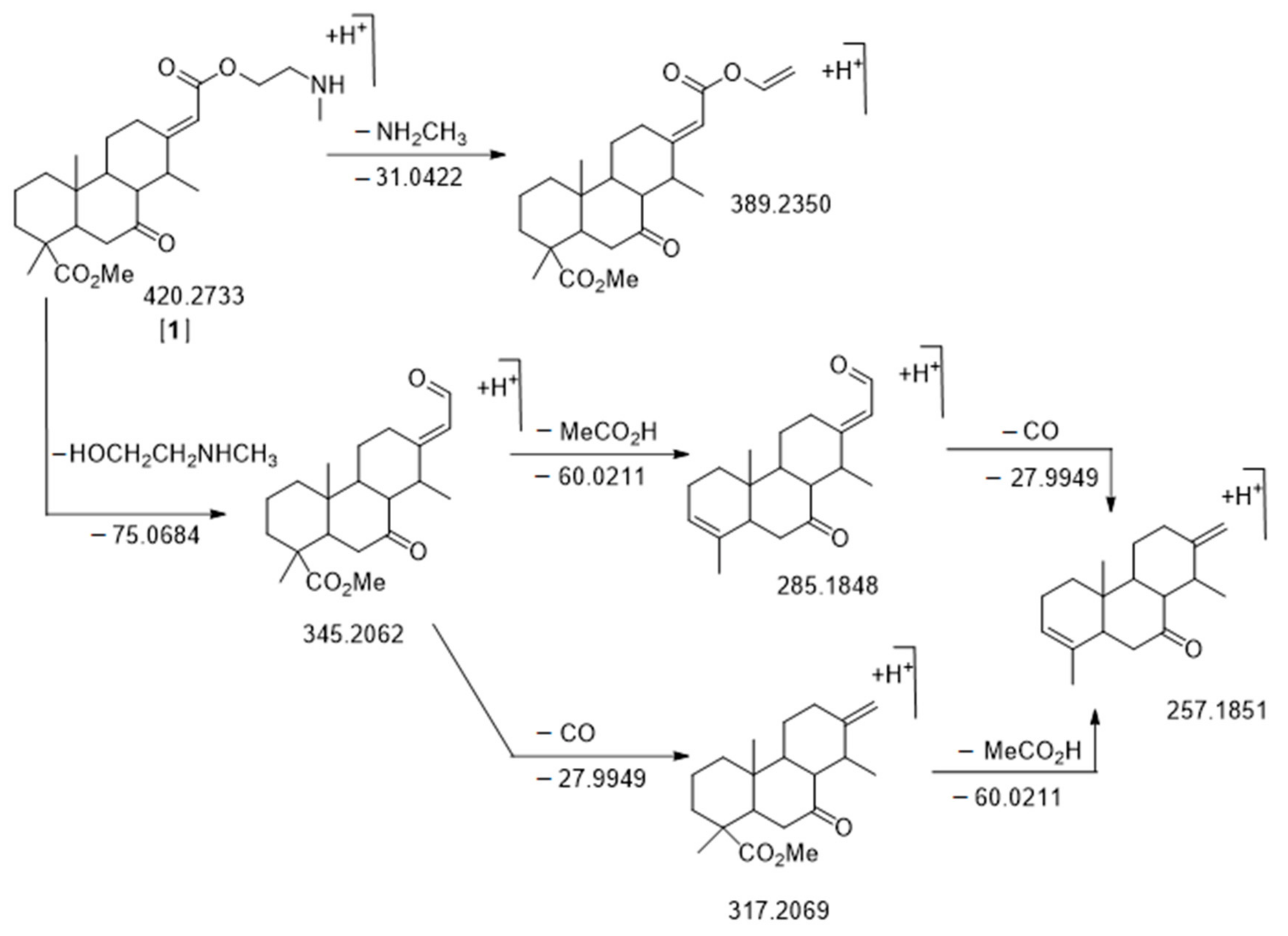 Molecules 26 01668 g004