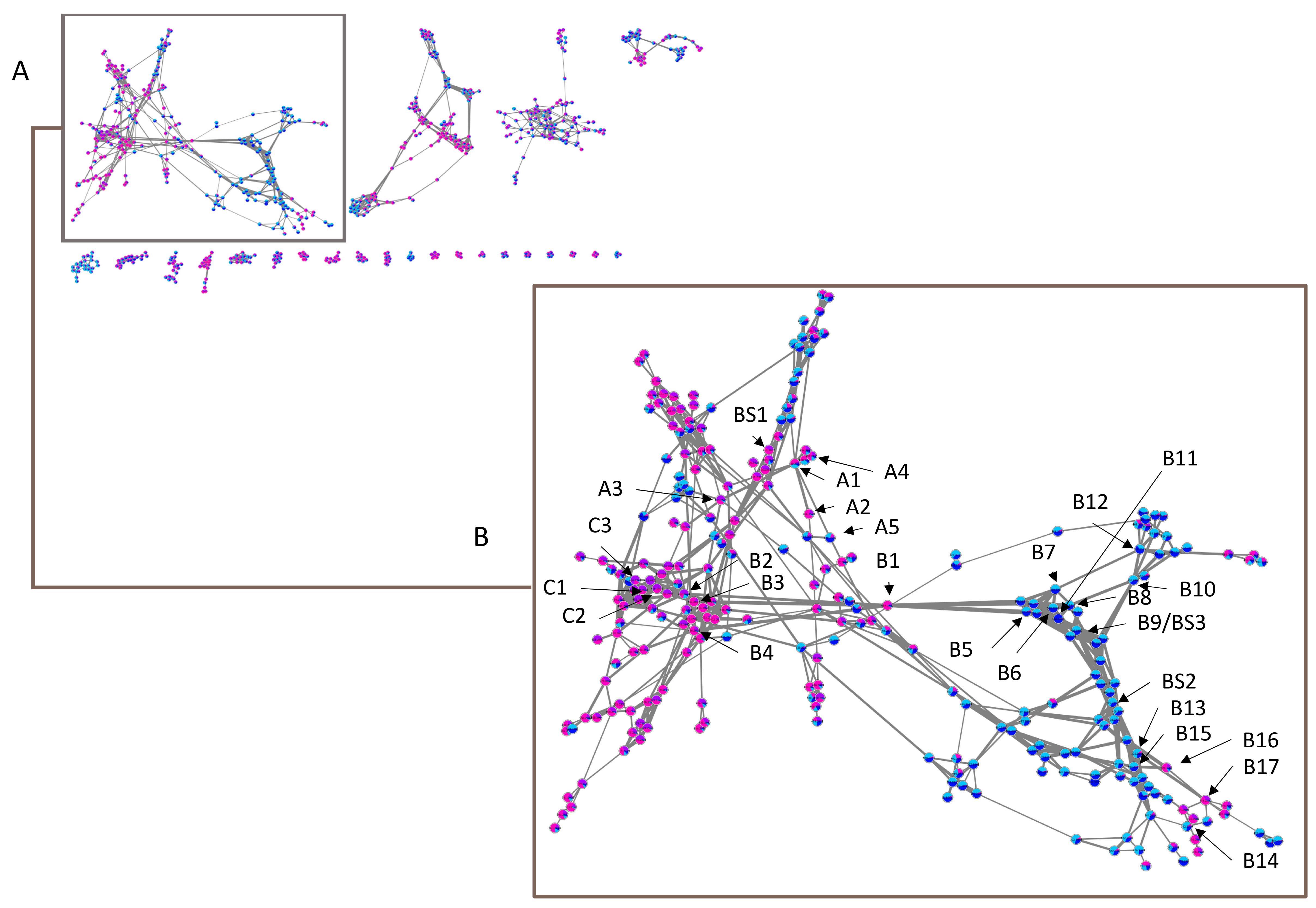 Molecules 26 01668 g005