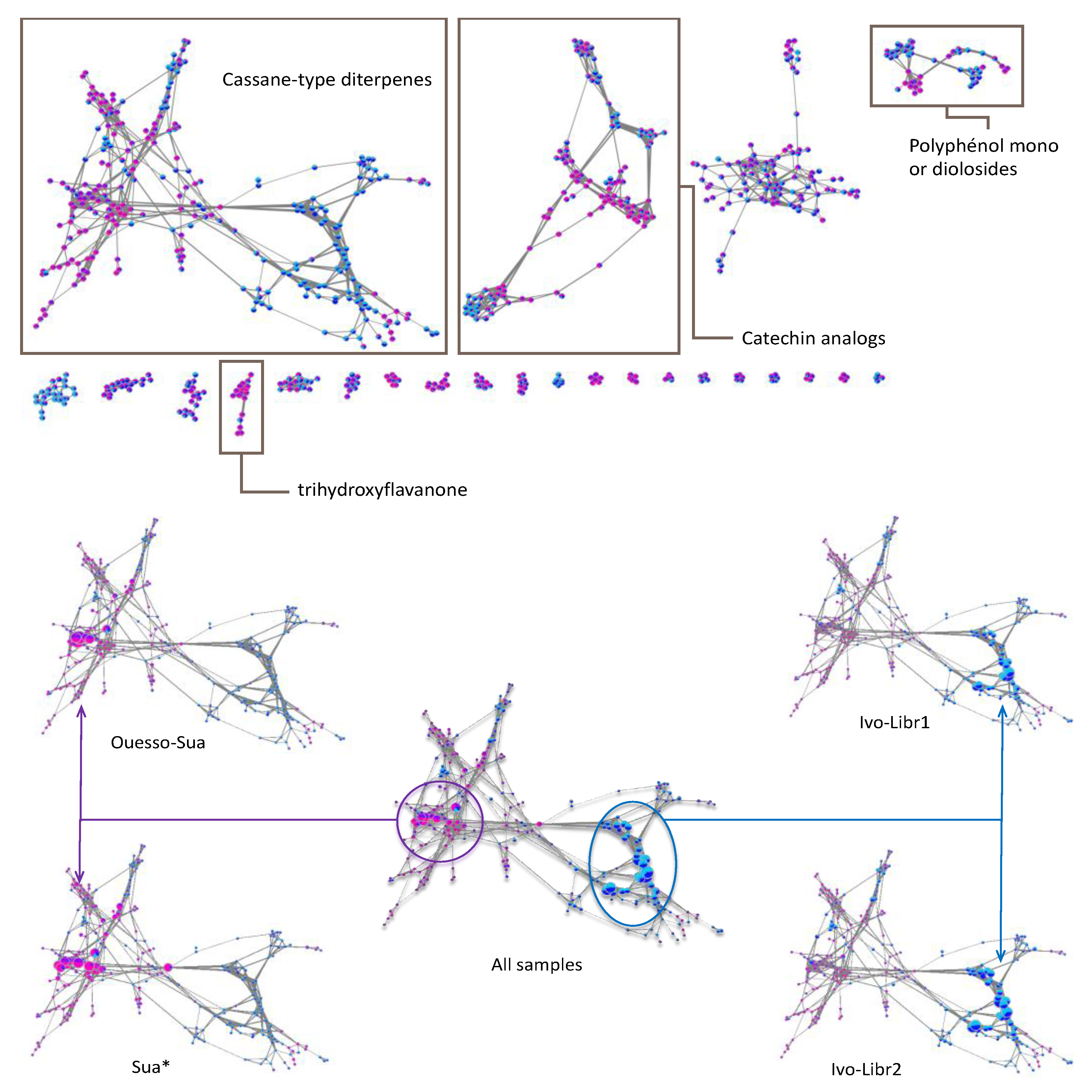 Molecules 26 01668 g006