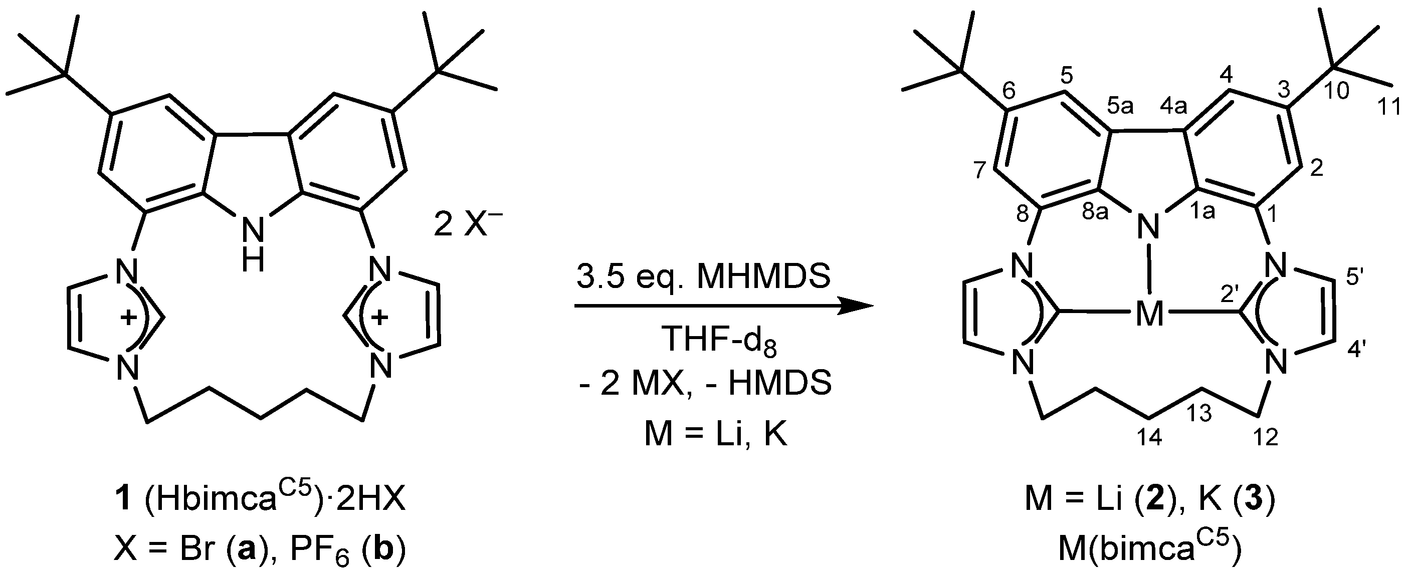 Molecules 26 01669 sch001 Molecules 26 01669 sch001